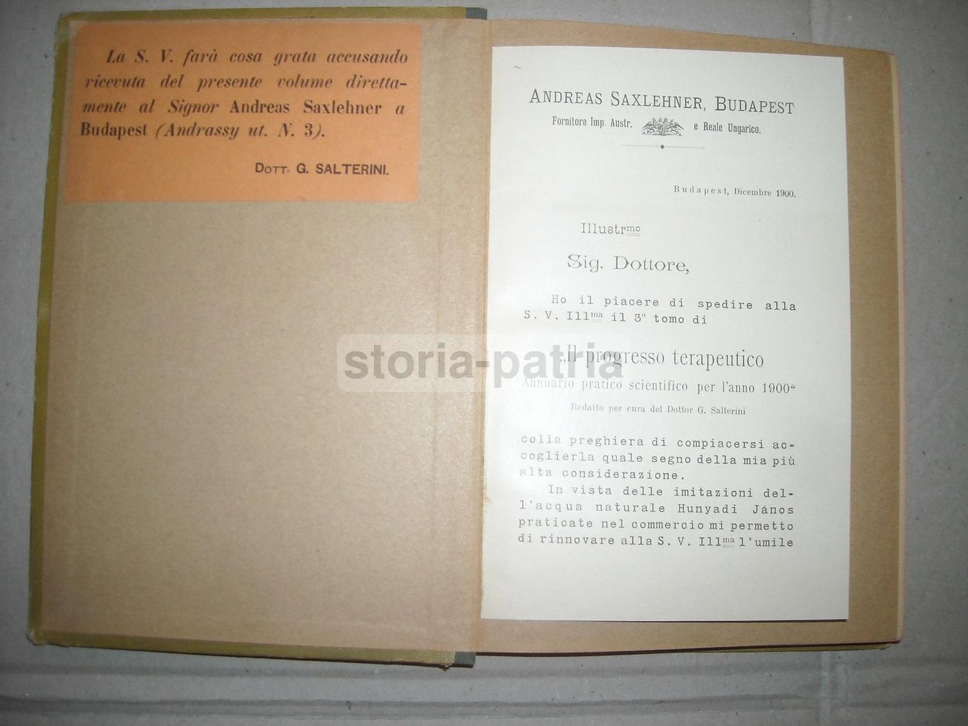 Il Progresso Terapeutico 1900: Neurologia E Farmacia Hunyadi Janos