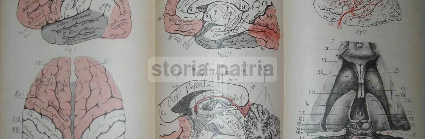 Il Progresso Terapeutico 1900: Neurologia E Farmacia Hunyadi Janos
