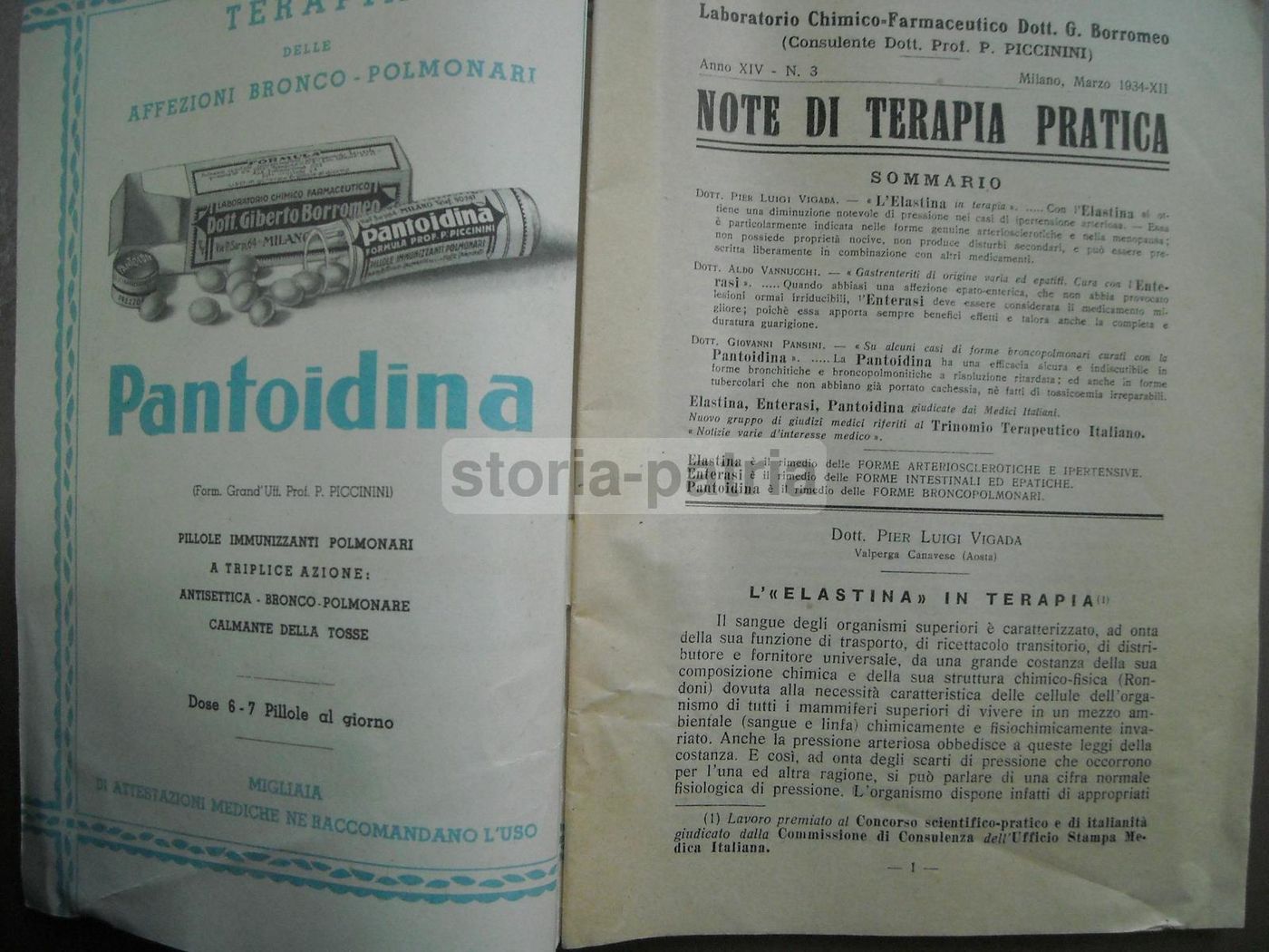 Laboratorio Borromeo Elastina 1934 Pubblicazione Farmaceutica Milano