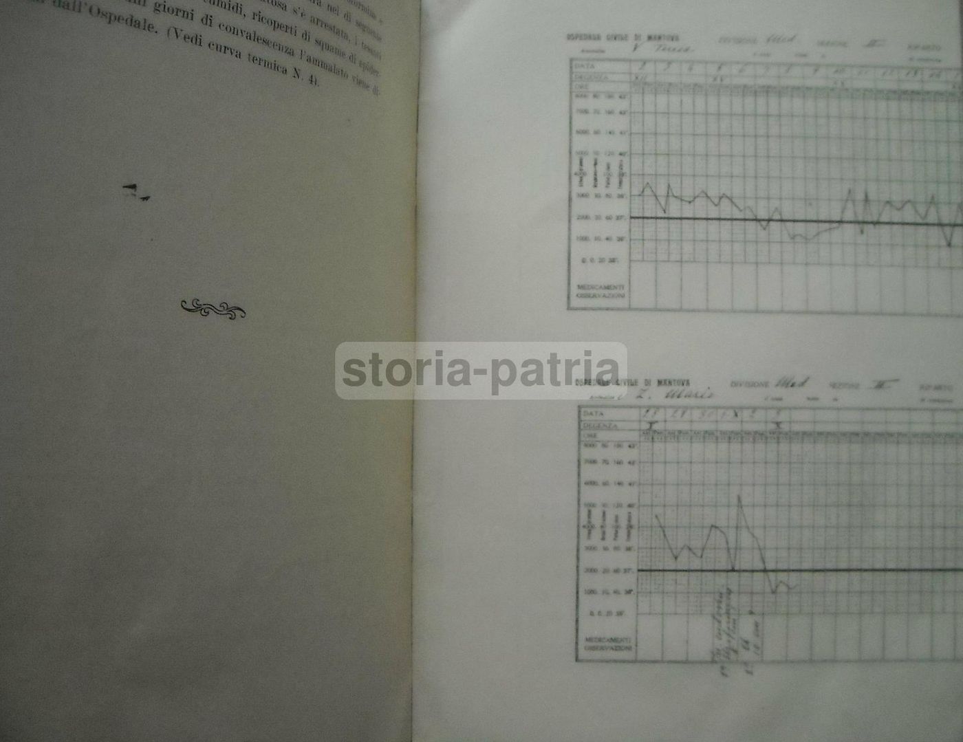 Contributo Alla Conoscenza Della Attività Terapeutica Della Uroformina Nelle Tossinfenzioni