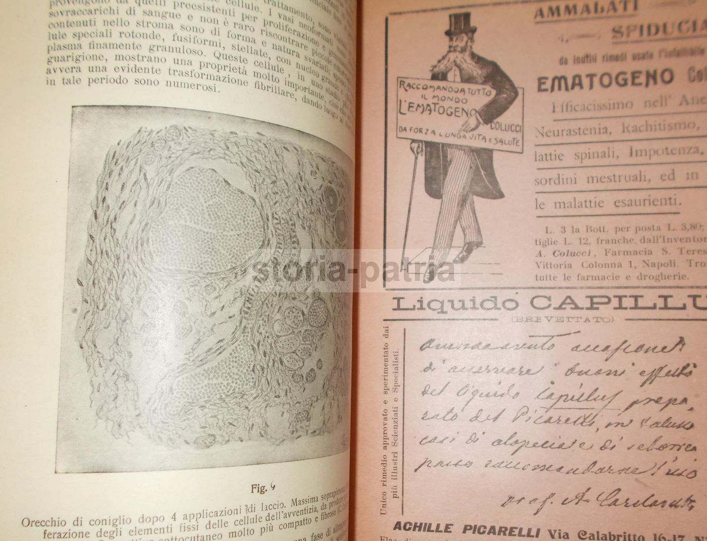 La Fisicoterapia Moderna (1910)   Napoli, Radiologia E Neurastenia