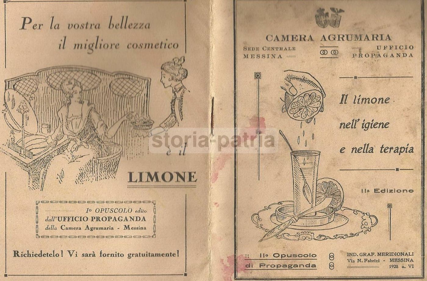 Il Limone In Medicina E Igiene, Camera Agrumaria Messina 1928