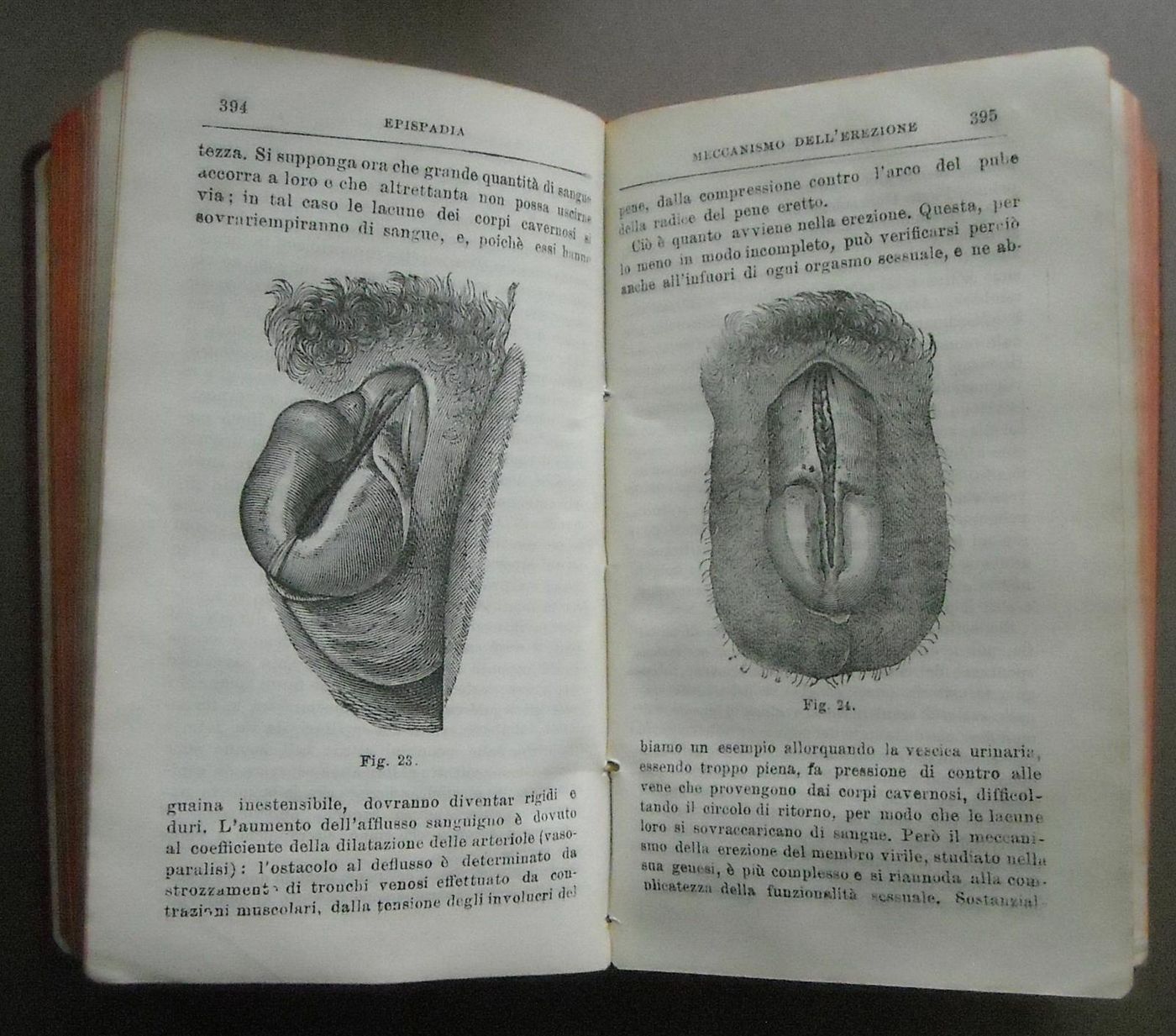 Medicina Legale. Lorenzo Borri, 1908. Psichiatria E Criminologia.