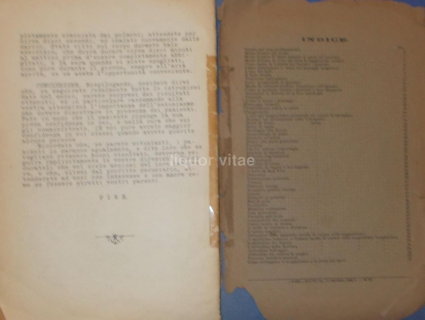 Corso d'Istruzione In Vitaopatia, Thos A. Franklin, 1900 1920