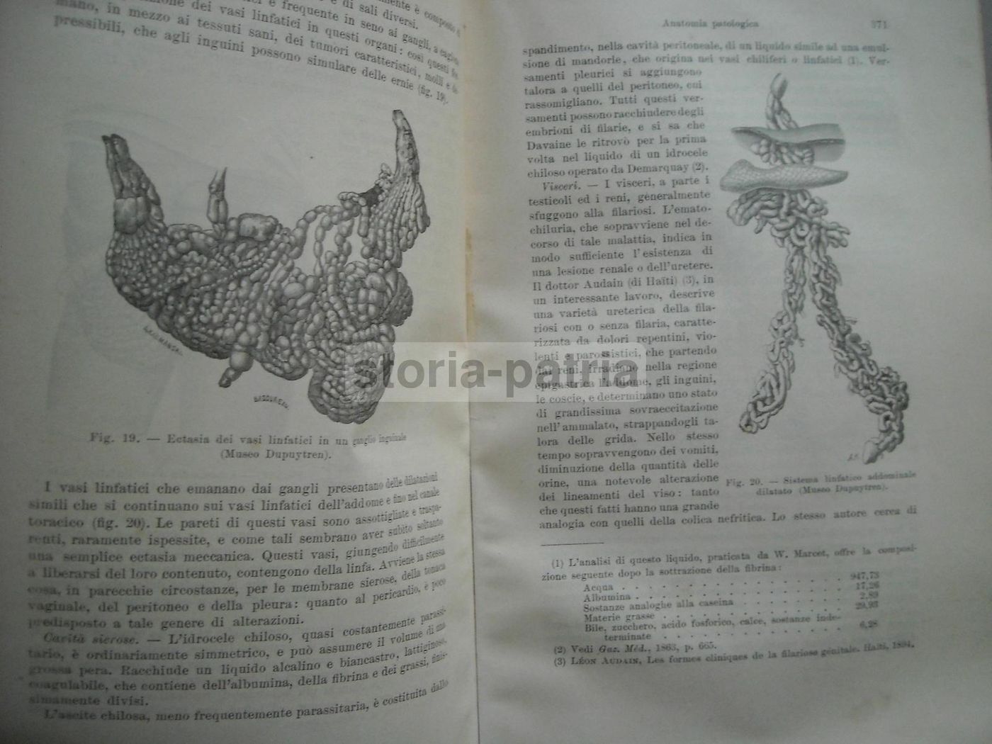 Malattie Esotiche (1907) UTET   Nuovo Trattato Di Medicina E Terapia