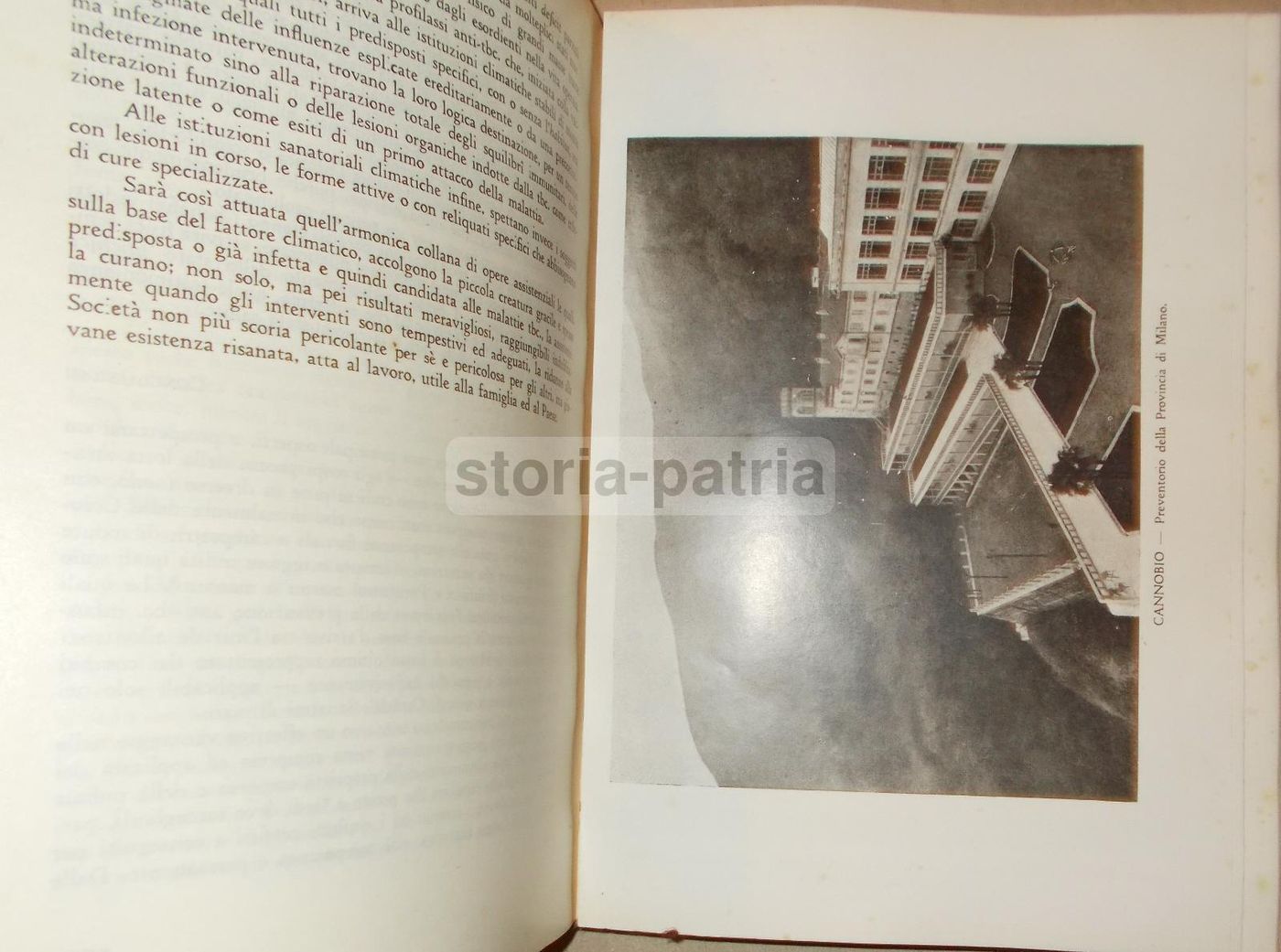 La Tisiologia Nella Pratica Medica. Wassermann, 1933