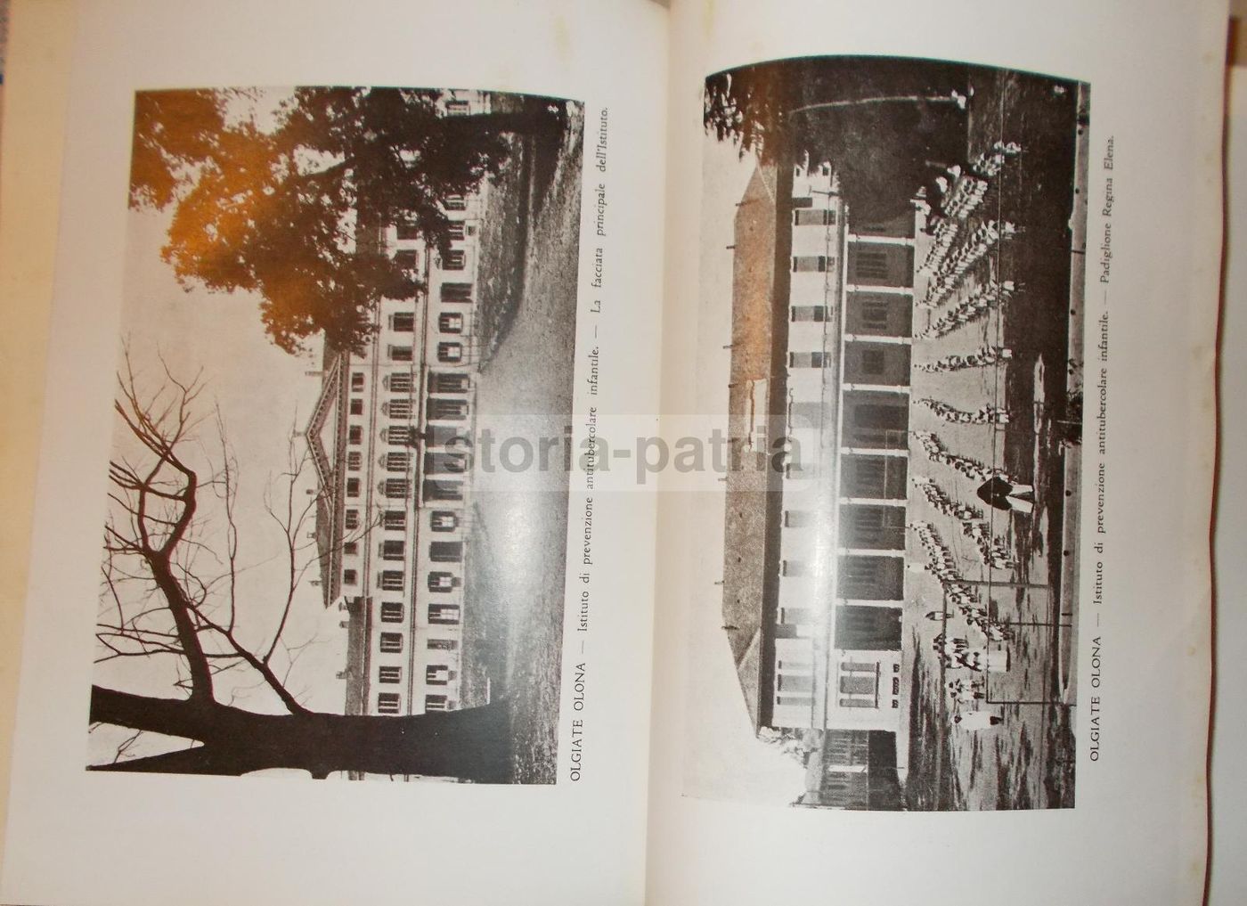 La Tisiologia Nella Pratica Medica. Wassermann, 1933