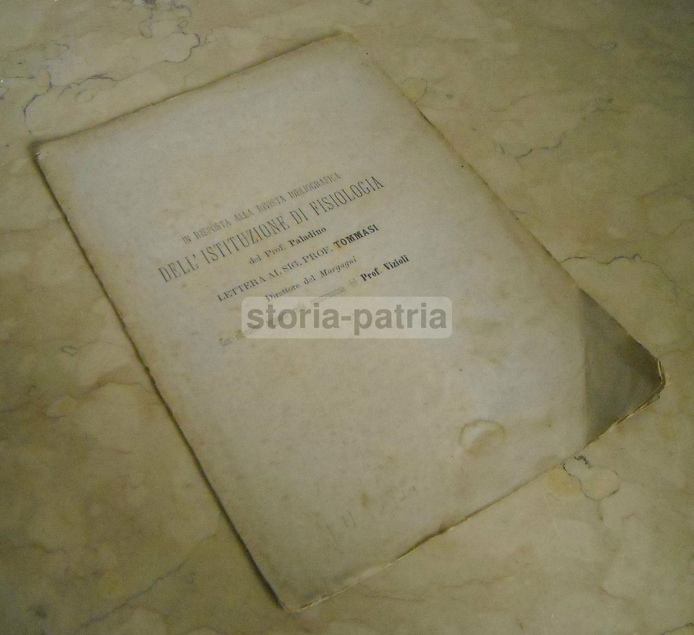 Diatriba Paladino Vizioli, 1877: Il Morgagni, Napoli, Fisiologia