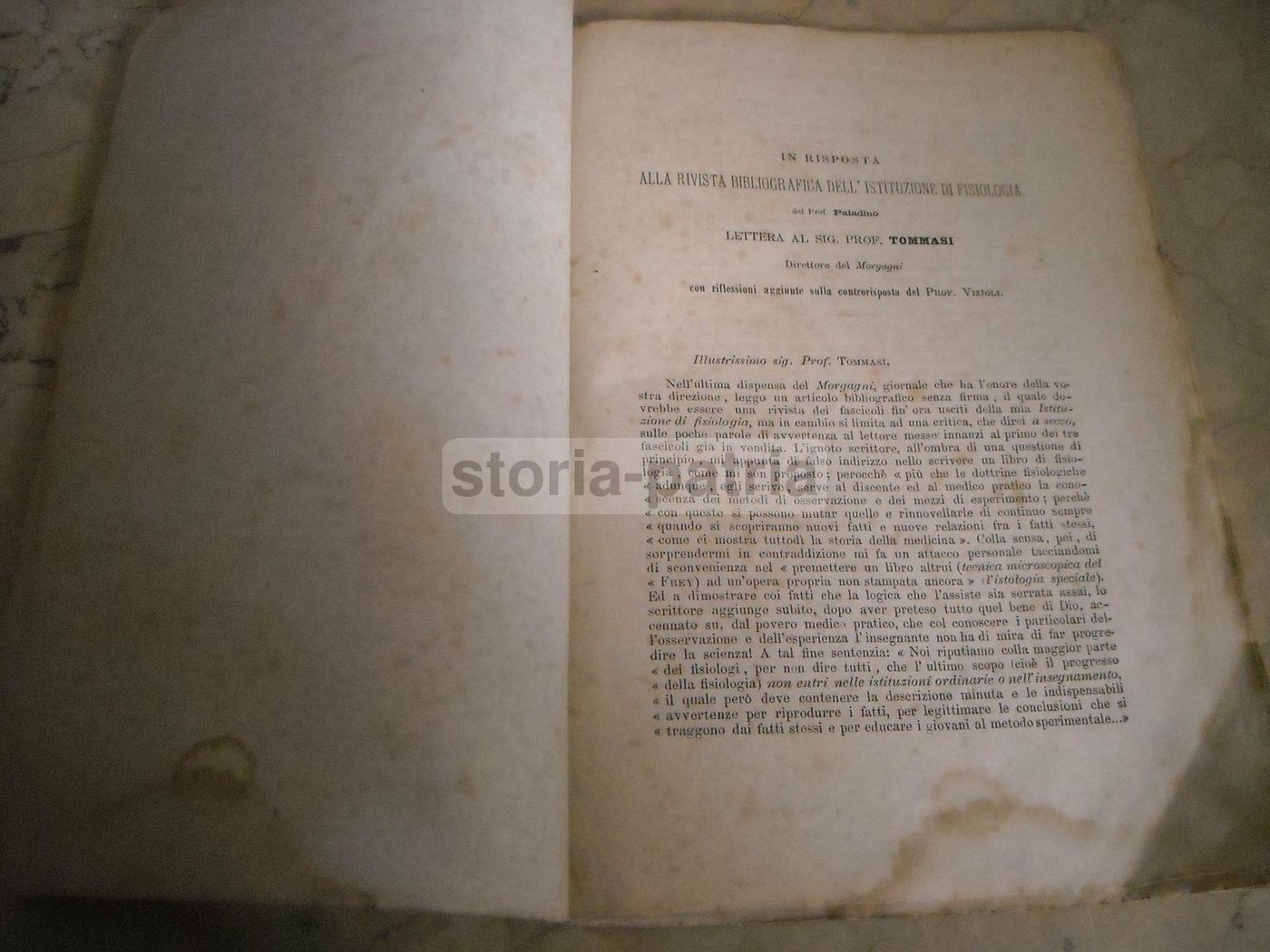 Diatriba Paladino Vizioli, 1877: Il Morgagni, Napoli, Fisiologia