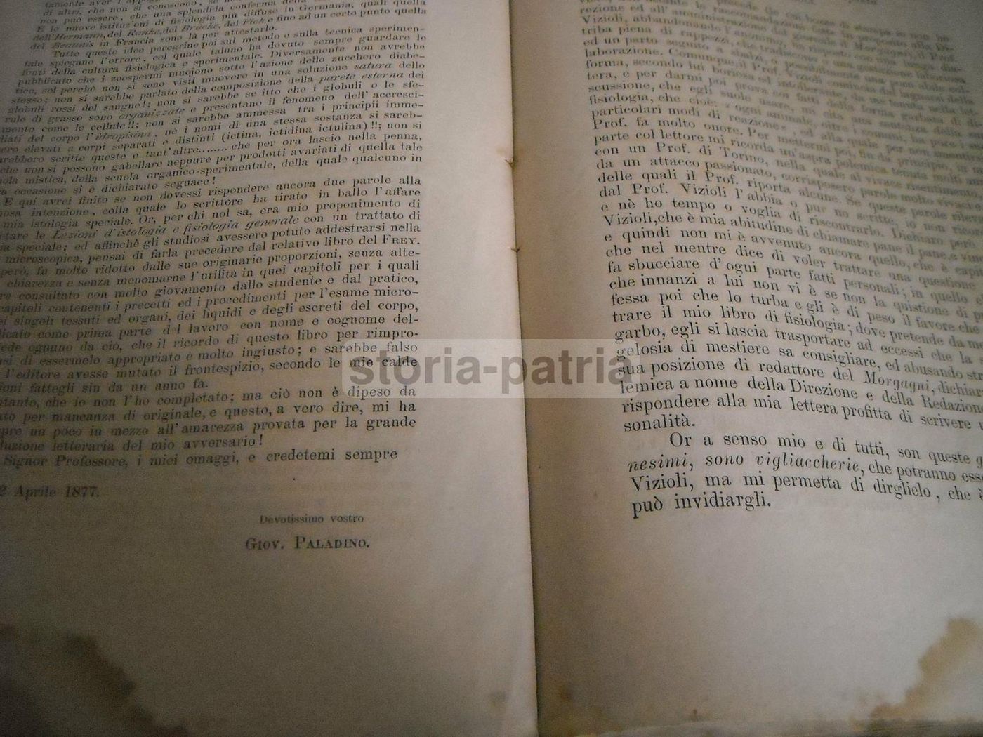 Diatriba Paladino Vizioli, 1877: Il Morgagni, Napoli, Fisiologia