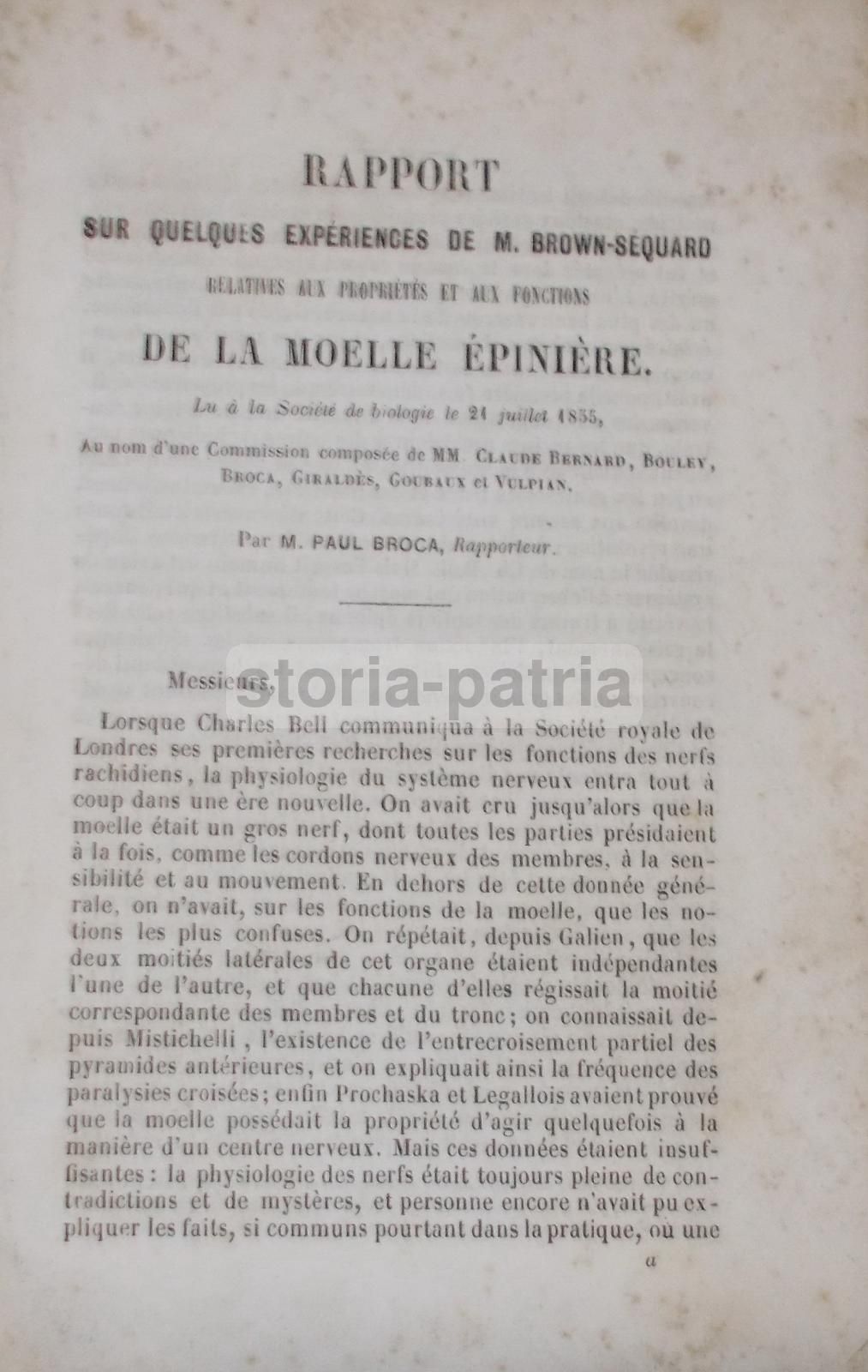 Paul Broca, Rapporto Sugli Esperimenti Di Brown Séquard Sulla Midolla Spinale, 1855