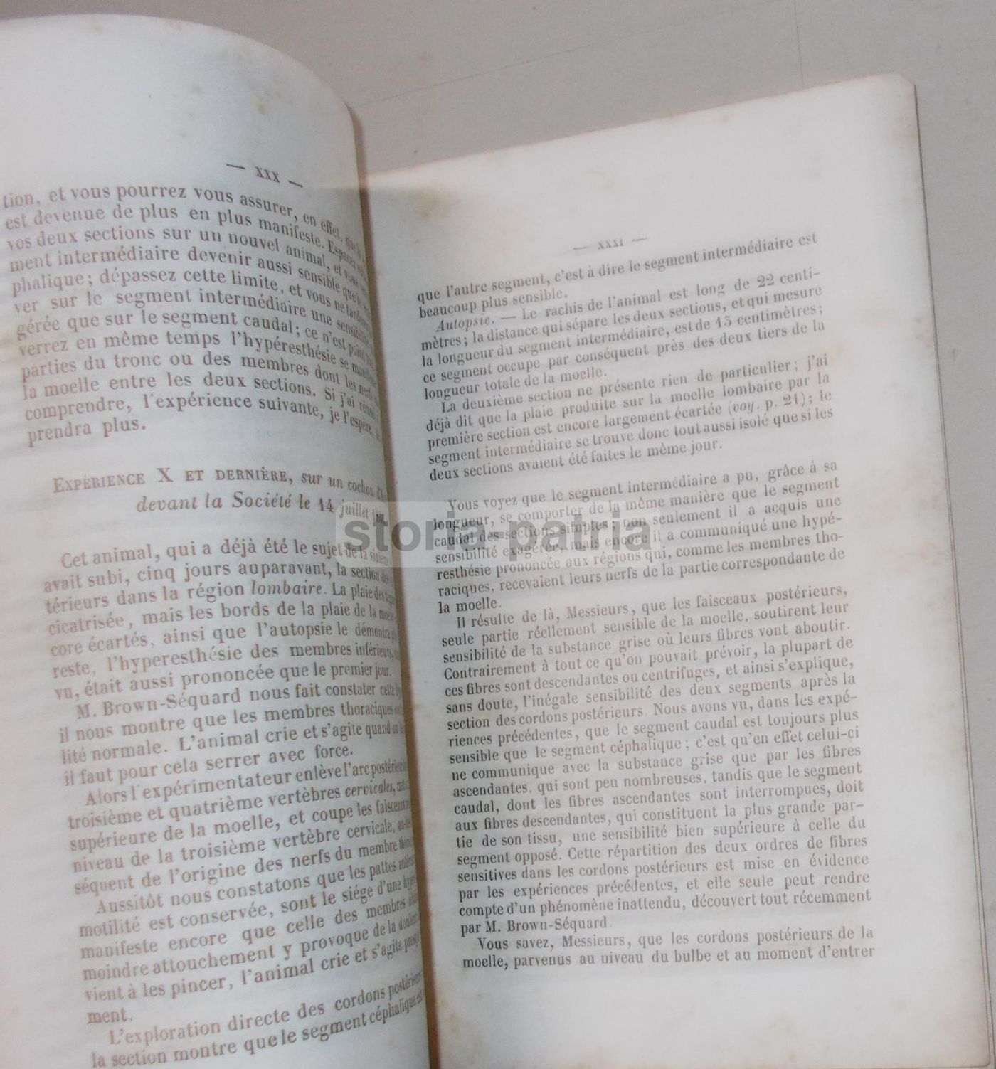 Paul Broca, Rapporto Sugli Esperimenti Di Brown Séquard Sulla Midolla Spinale, 1855