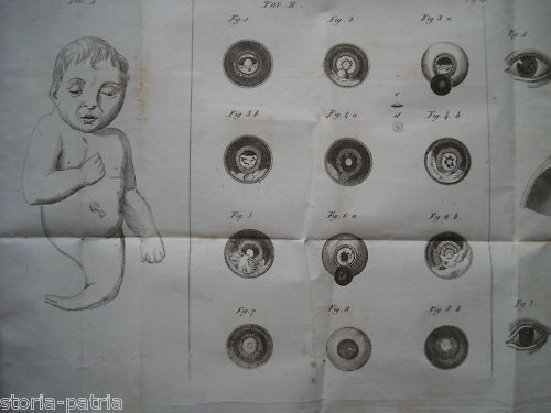 Annali Universali Di Medicina 1830 Omodei Neurologia Ostetricia