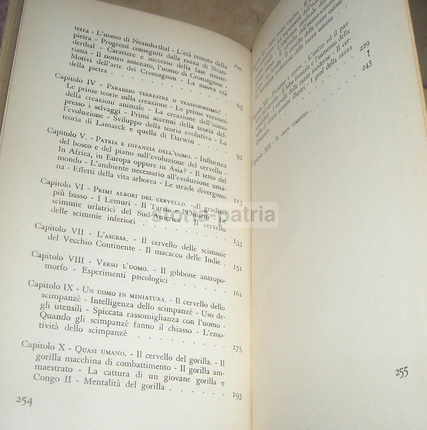 Biografia Del Cervello, Frederick Tilney, Bompiani, 1935
