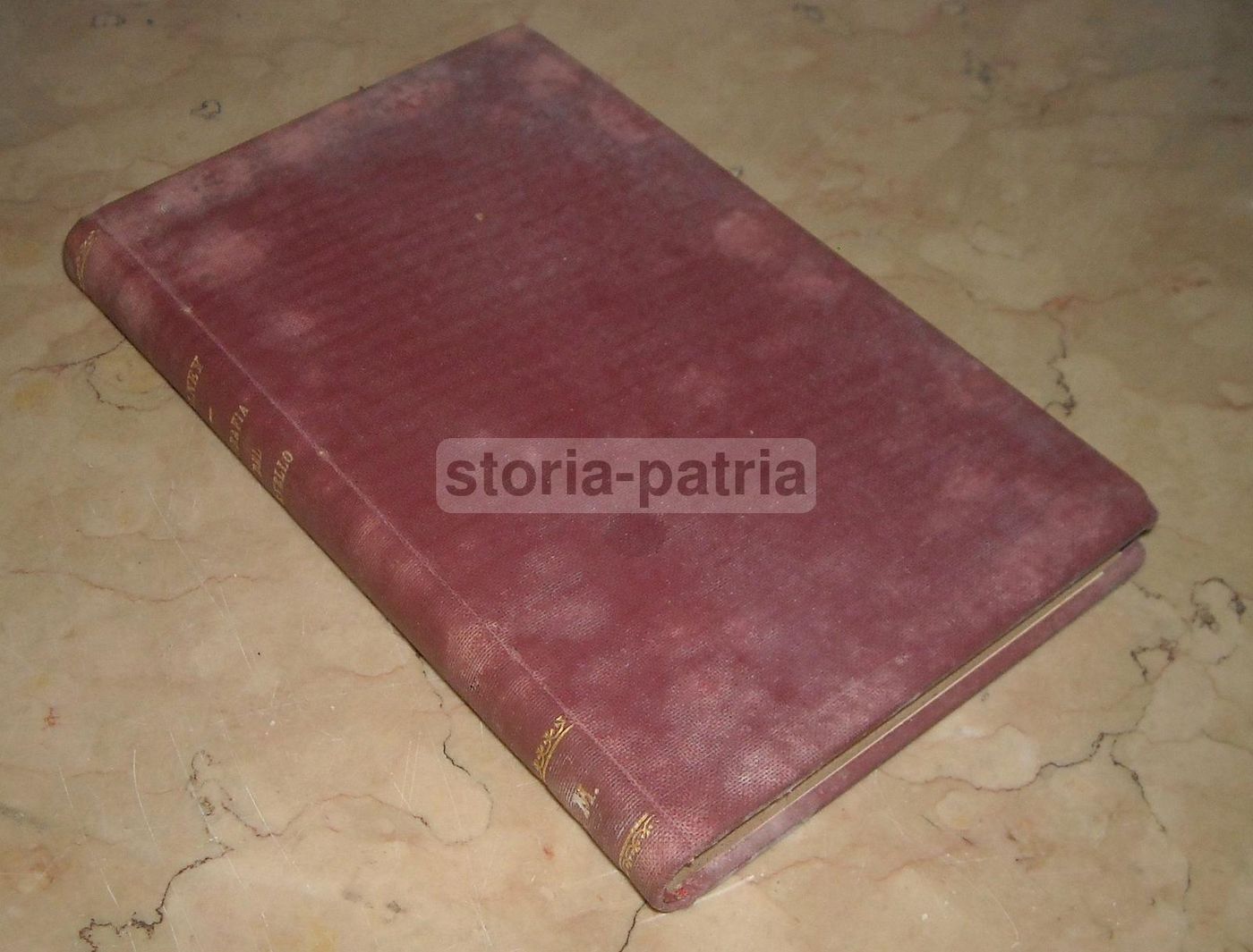 Biografia Del Cervello, Frederick Tilney, Bompiani, 1935