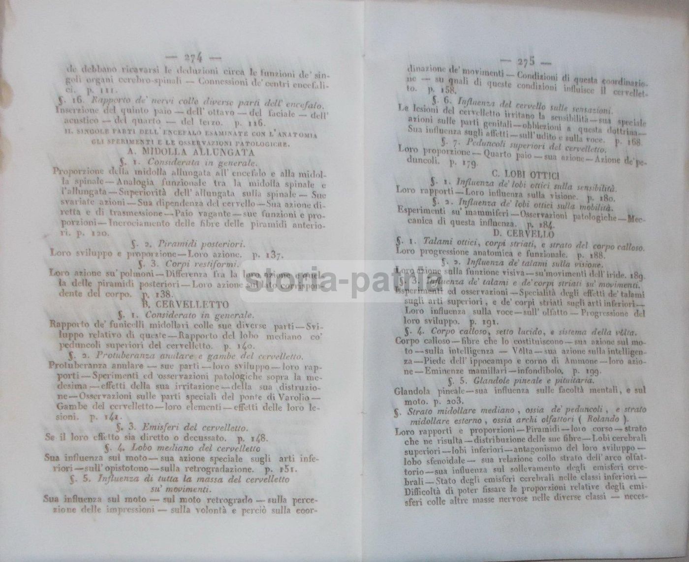 Intorno L'Asse Cerebro Spinale: Memoria Di Giuseppe Meneghini (Napoli, 1843)
