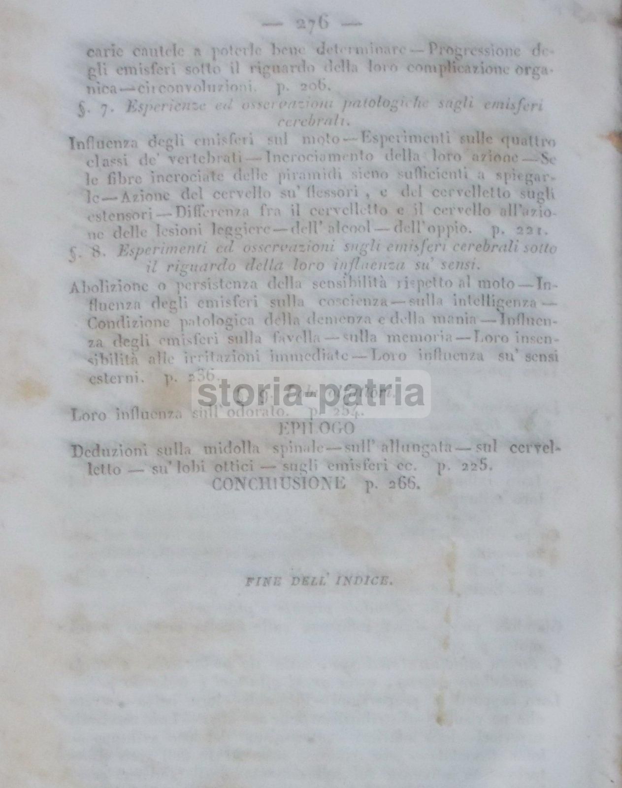 Intorno L'Asse Cerebro Spinale: Memoria Di Giuseppe Meneghini (Napoli, 1843)