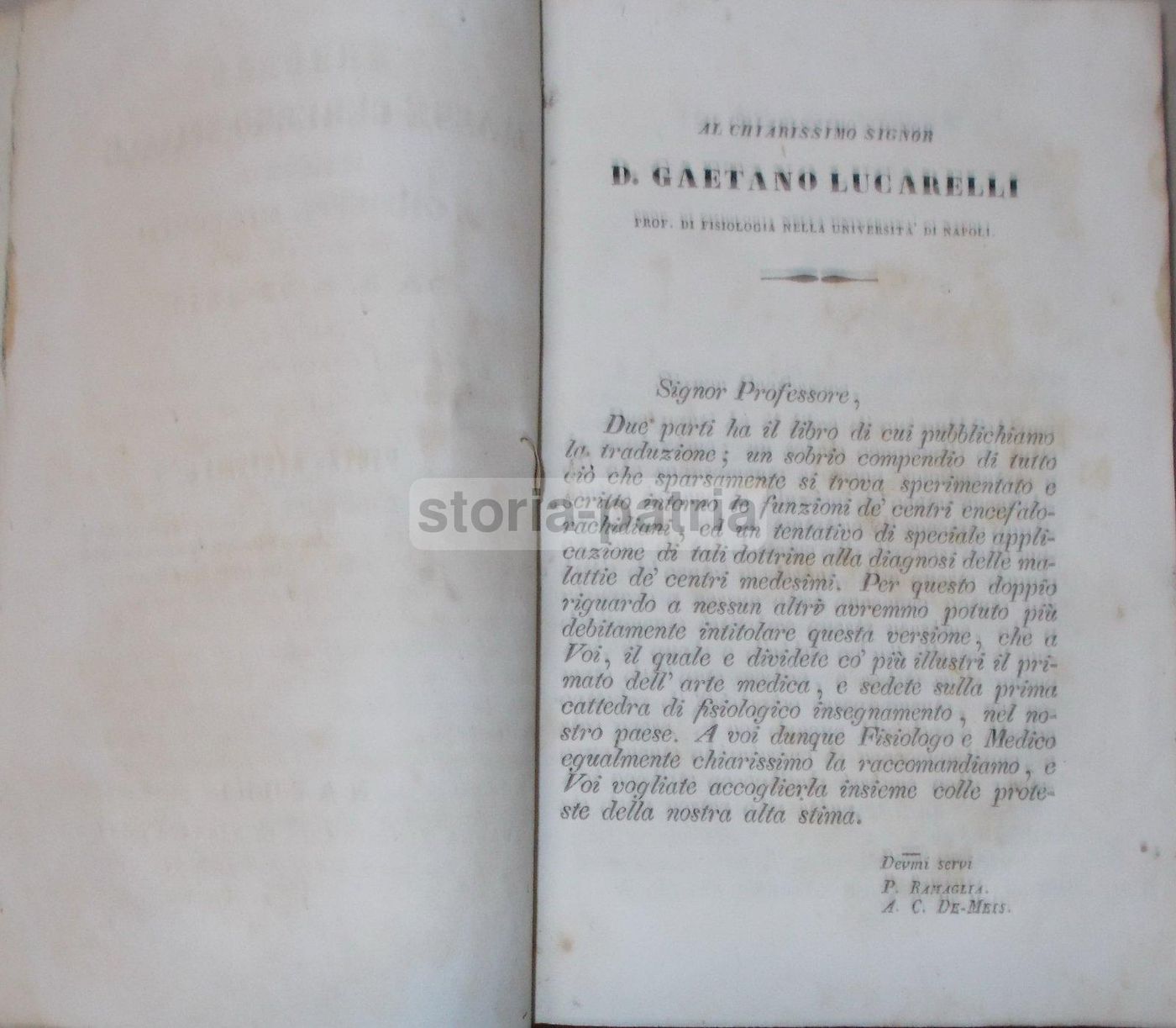 Intorno L'Asse Cerebro Spinale: Memoria Di Giuseppe Meneghini (Napoli, 1843)