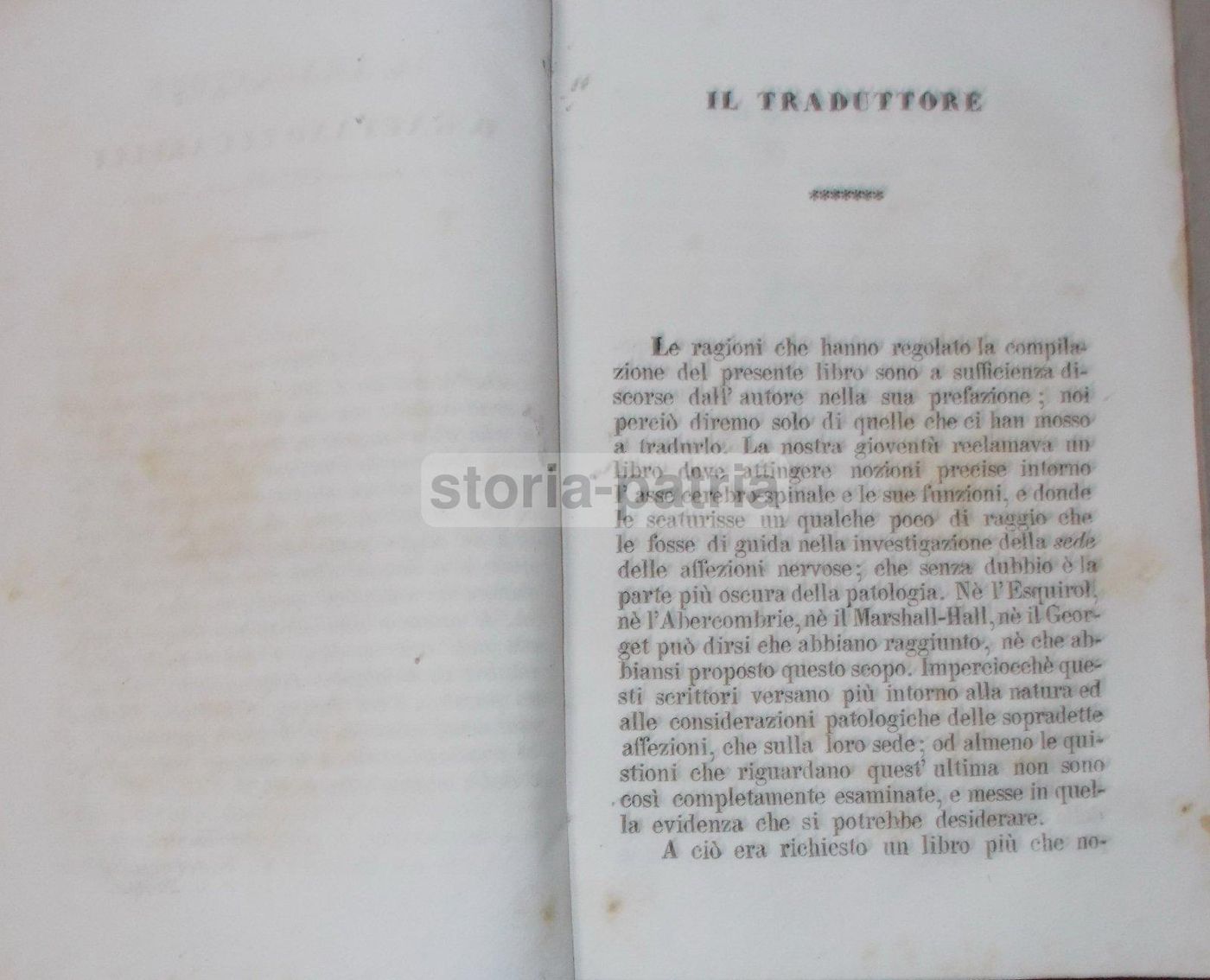 Intorno L'Asse Cerebro Spinale: Memoria Di Giuseppe Meneghini (Napoli, 1843)