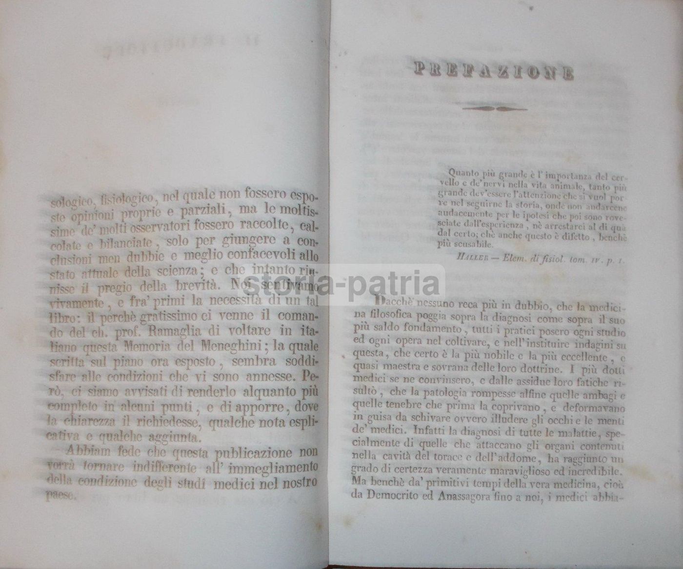 Intorno L'Asse Cerebro Spinale: Memoria Di Giuseppe Meneghini (Napoli, 1843)