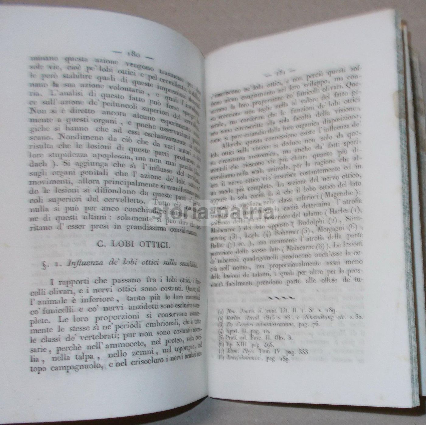 Intorno L'Asse Cerebro Spinale: Memoria Di Giuseppe Meneghini (Napoli, 1843)