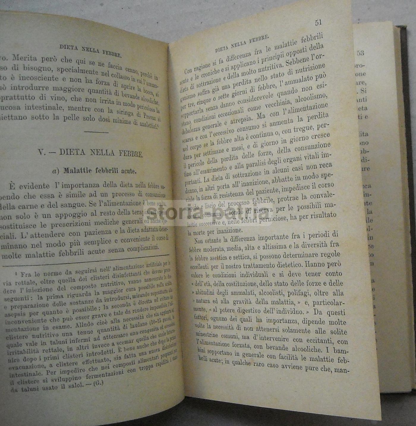 Modo Di Nutrire I Malati E Di Custodirli. Guida Pratica. Federico Schilling, 1896