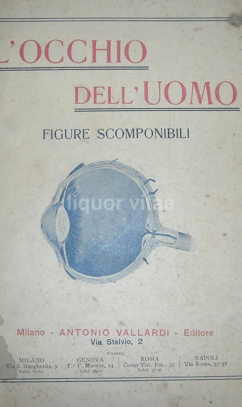 L'Occhio Dell'Uomo, Vallardi 1920, Figure Mobili E Anatomia Oculare