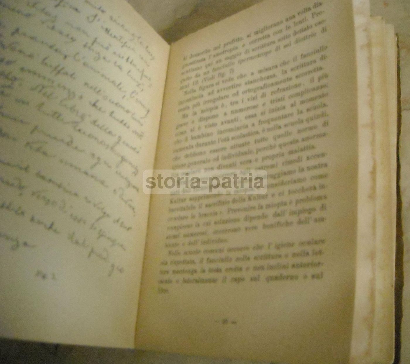 L'Igiene Dell'Occhio Nella Scuola   Angelucci, Rossi   Napoli 1924