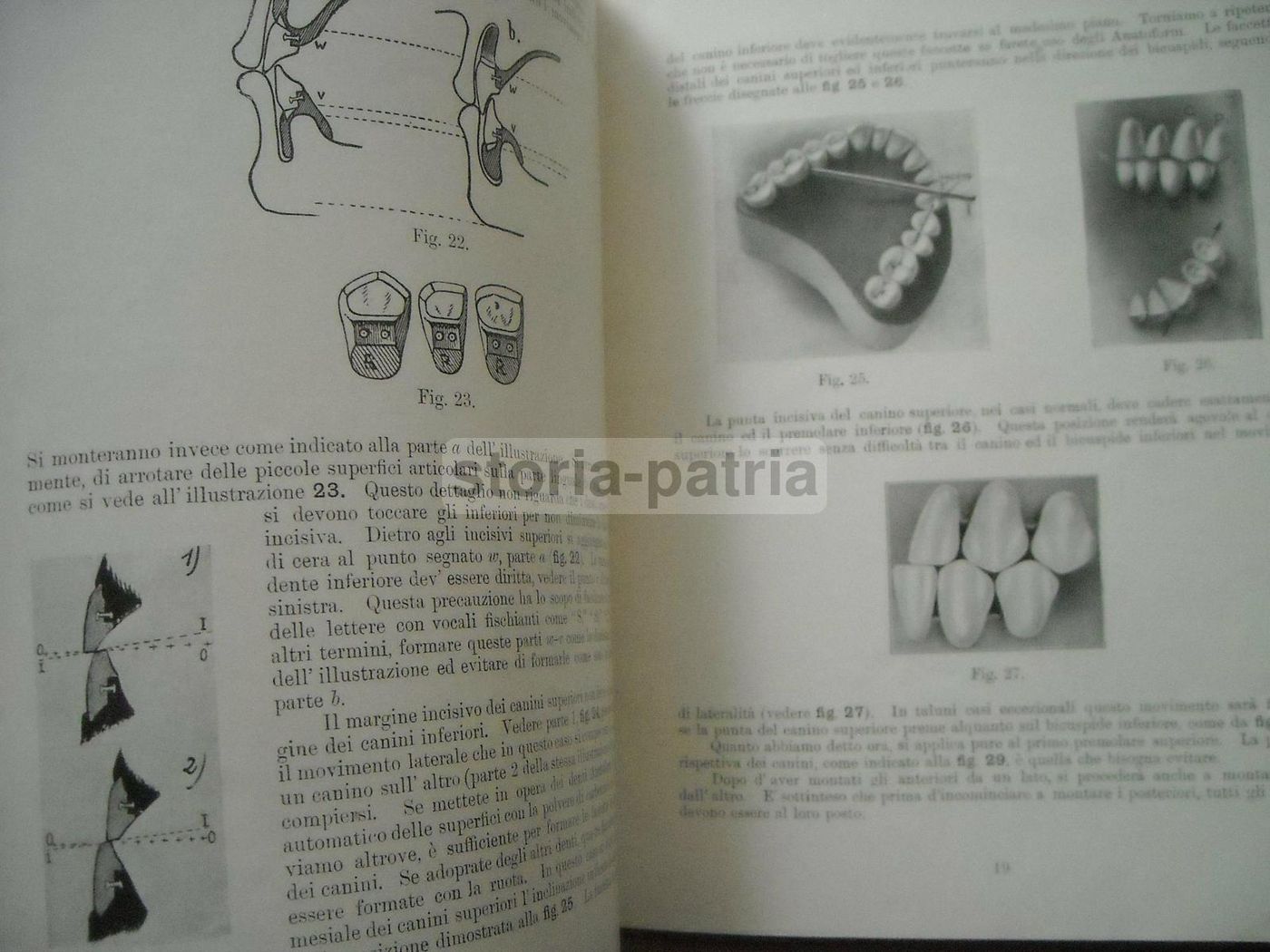 Manuale Denti Artificiali Anatoform E Articolatore Gysi, Anni '30