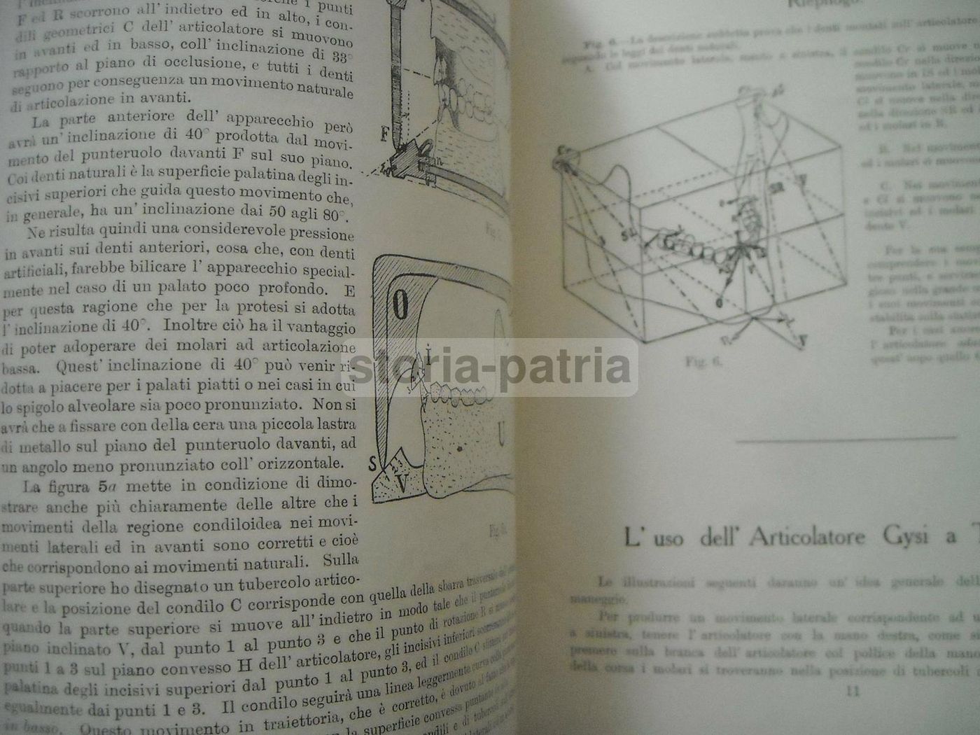 Manuale Denti Artificiali Anatoform E Articolatore Gysi, Anni '30