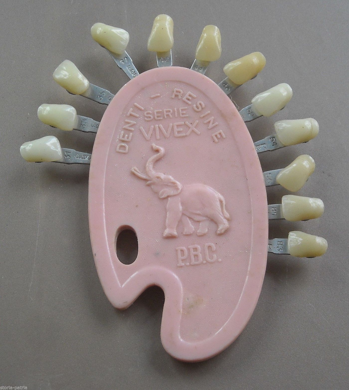 Campionario Resine Dentali Vivex P.B.C. Milano Anni 50 Odontoiatria