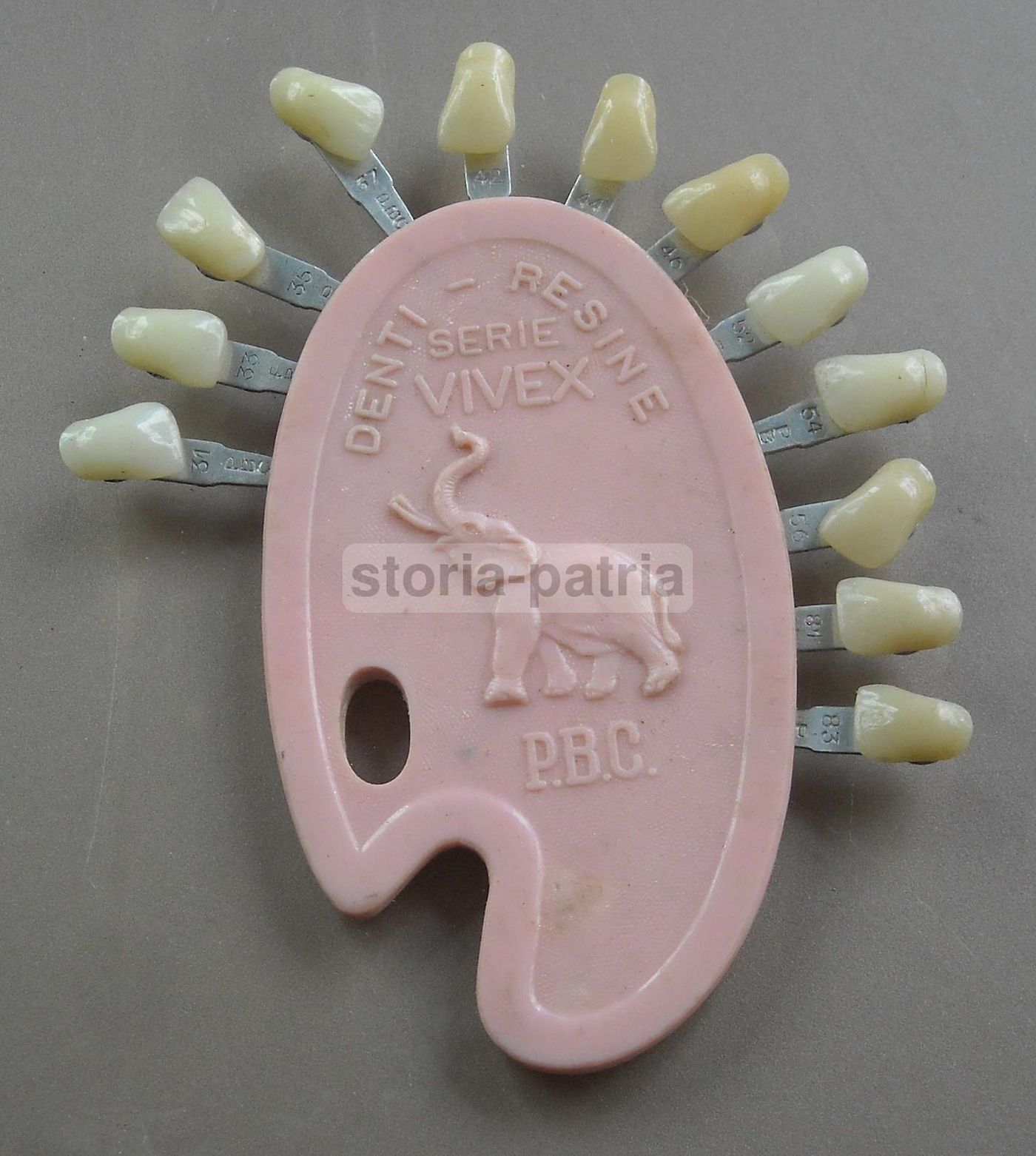 Campionario Resine Dentali Vivex P.B.C. Milano Anni 50 Odontoiatria