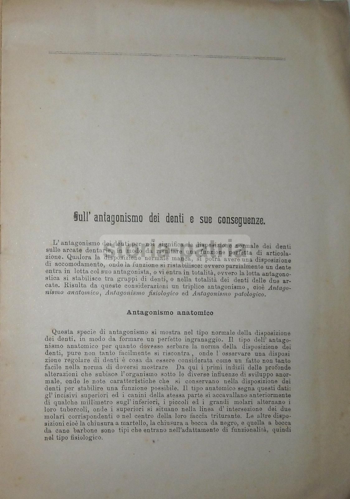 Antagonismo Dei Denti Scervini 1901 Università Di Napoli
