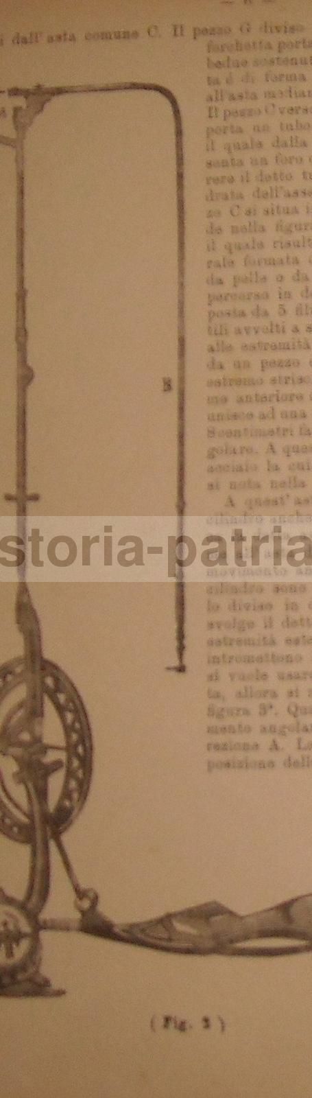 Antagonismo Dei Denti Scervini 1901 Università Di Napoli