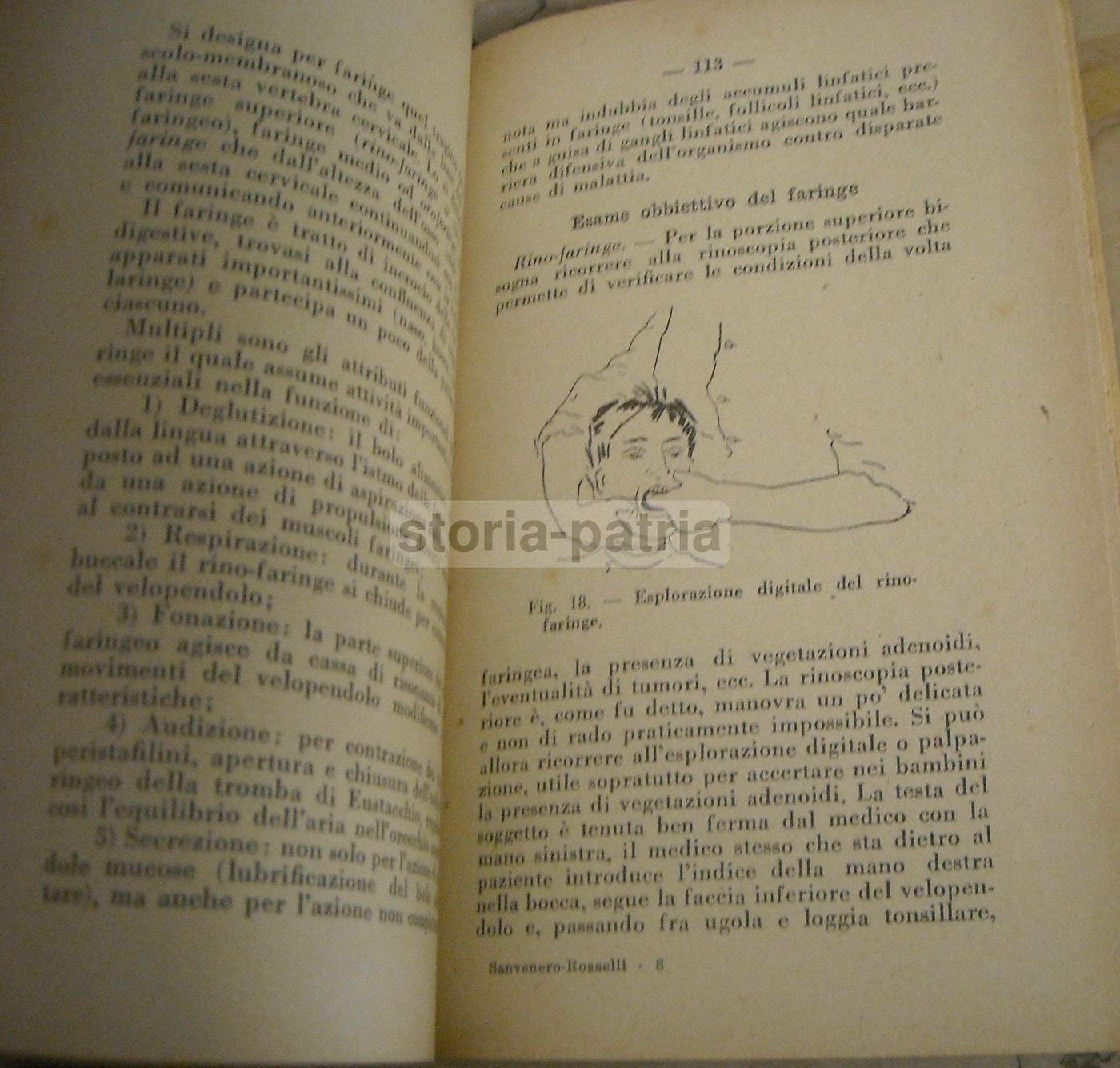 Nozioni Pratiche Di Otorinolaringoiatria   Sanvenero Rosselli   1930