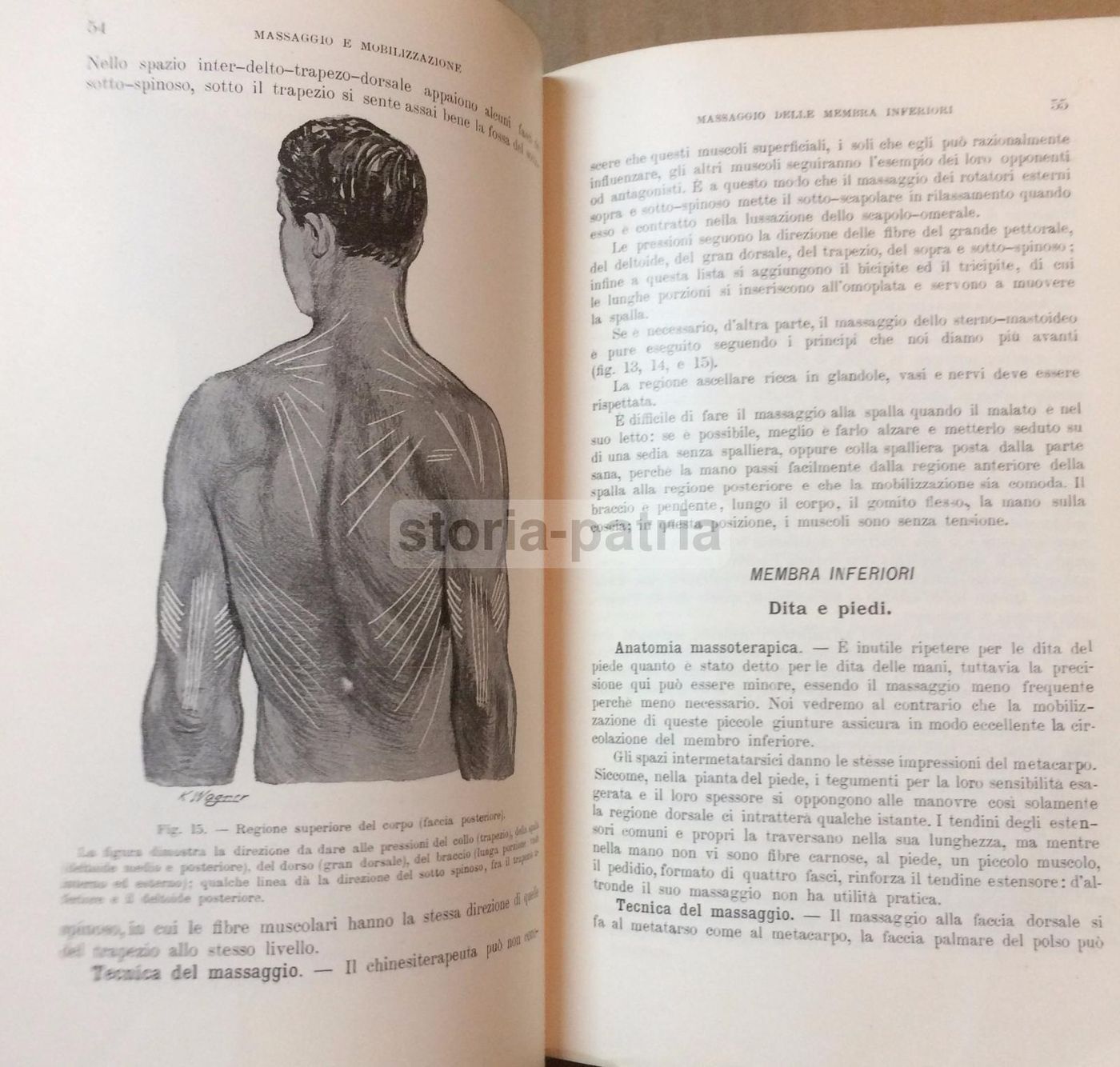 Fisioterapia, Chinesiterapia, Massaggio. Vallardi, 1912. Illustrato