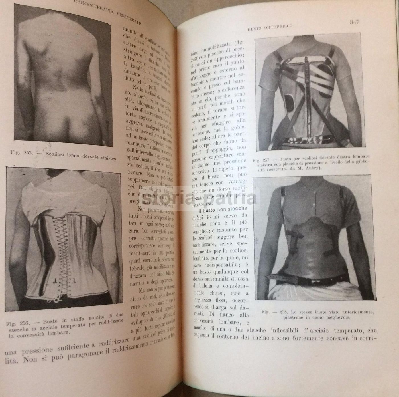 Fisioterapia, Chinesiterapia, Massaggio. Vallardi, 1912. Illustrato