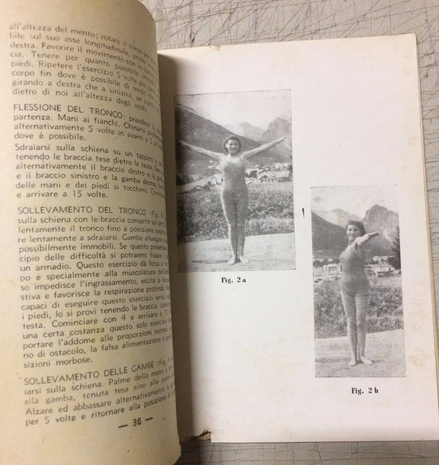 Augmentum Di Linthout (1946): Manuale Per L'Aumento Della Statura E Ortopedia
