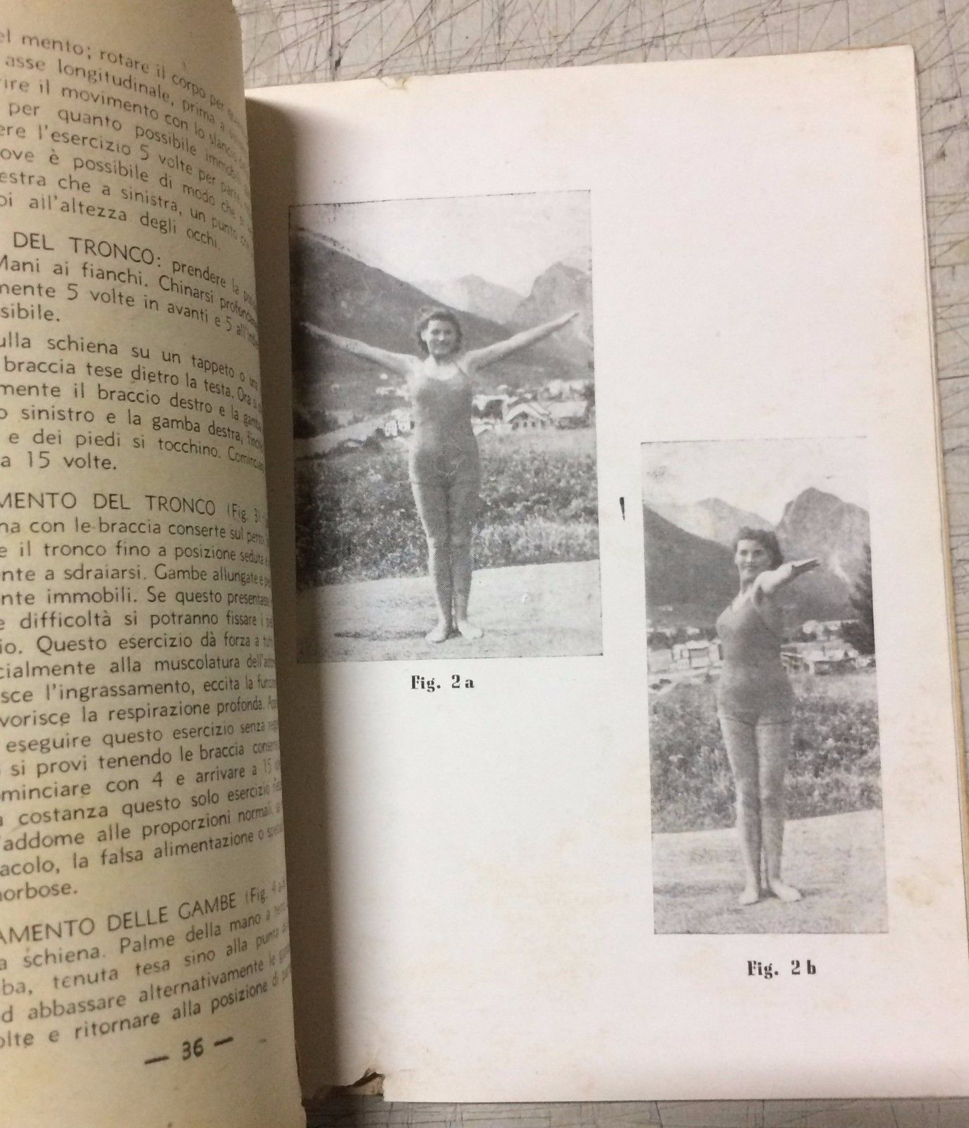 Augmentum Di Linthout (1946): Manuale Per L'Aumento Della Statura E Ortopedia