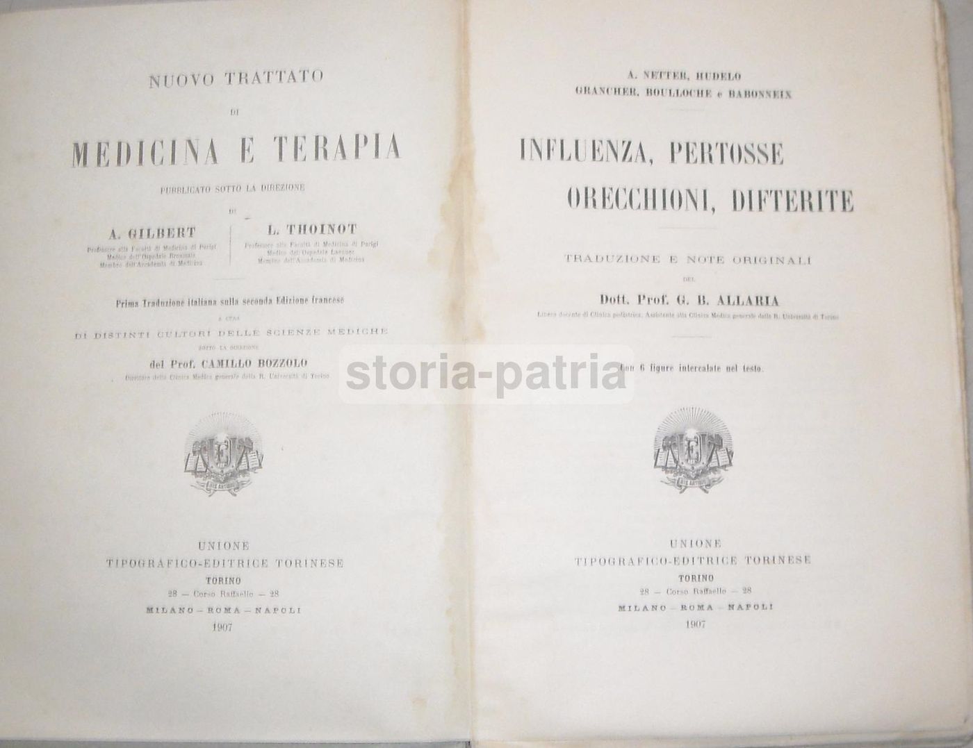 Trattato Influenza, Pertosse, Orecchioni, Difterite. Utet, 1907. G.B. Allaria.