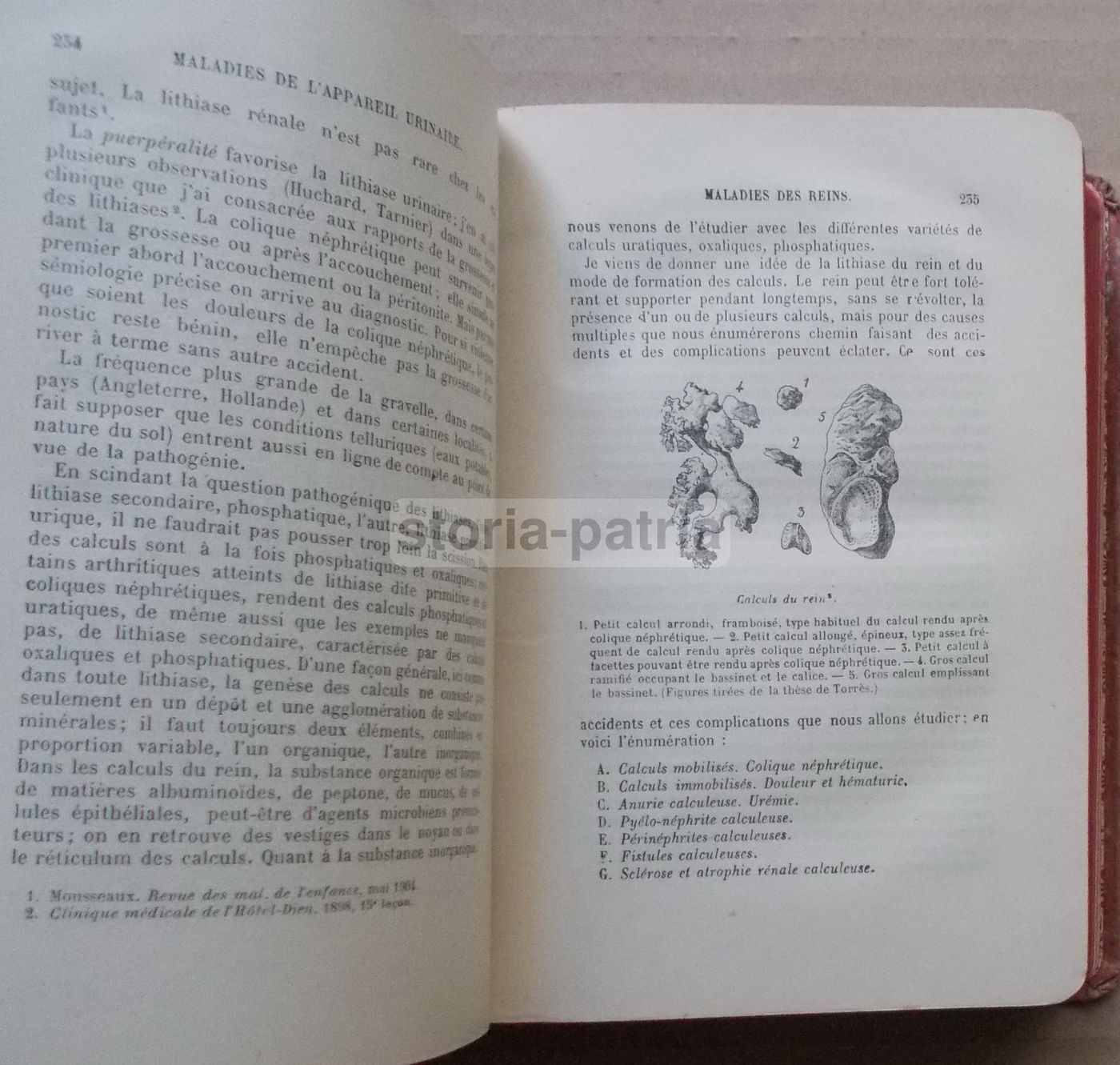 Dieulafoy, Manuel De Pathologie Interne, Urologia E Neurologia, 1911