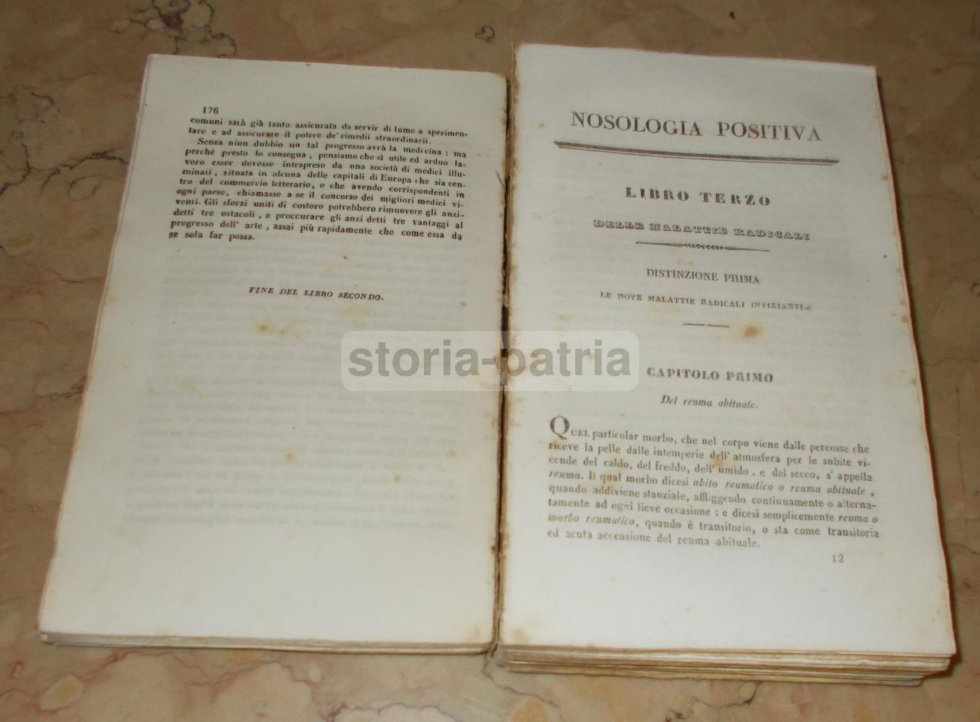 Nosologia Positiva Di Vincenzo Lanza, 1841 Napoli, Prima Edizione