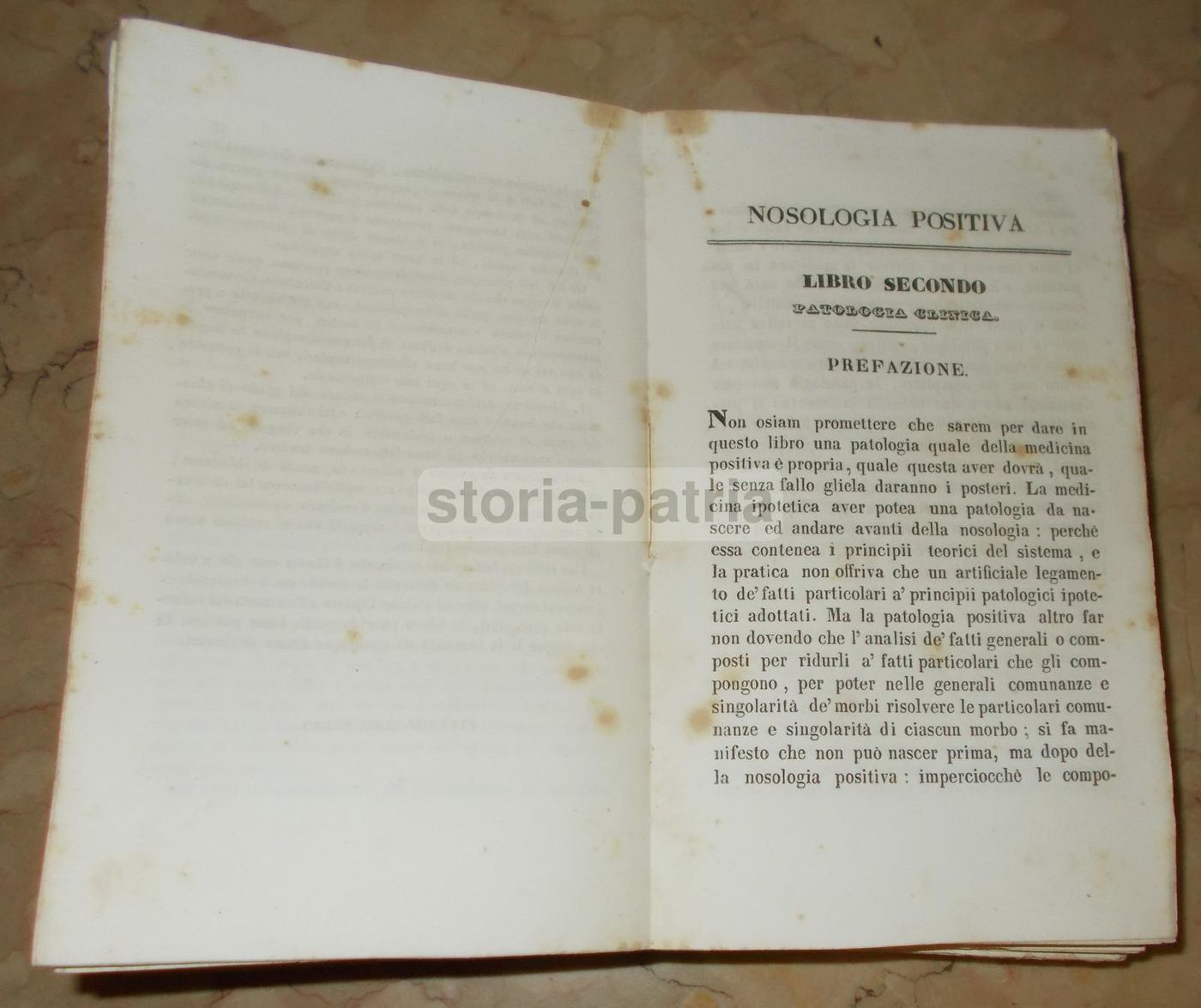 Nosologia Positiva Di Vincenzo Lanza, 1841 Napoli, Prima Edizione