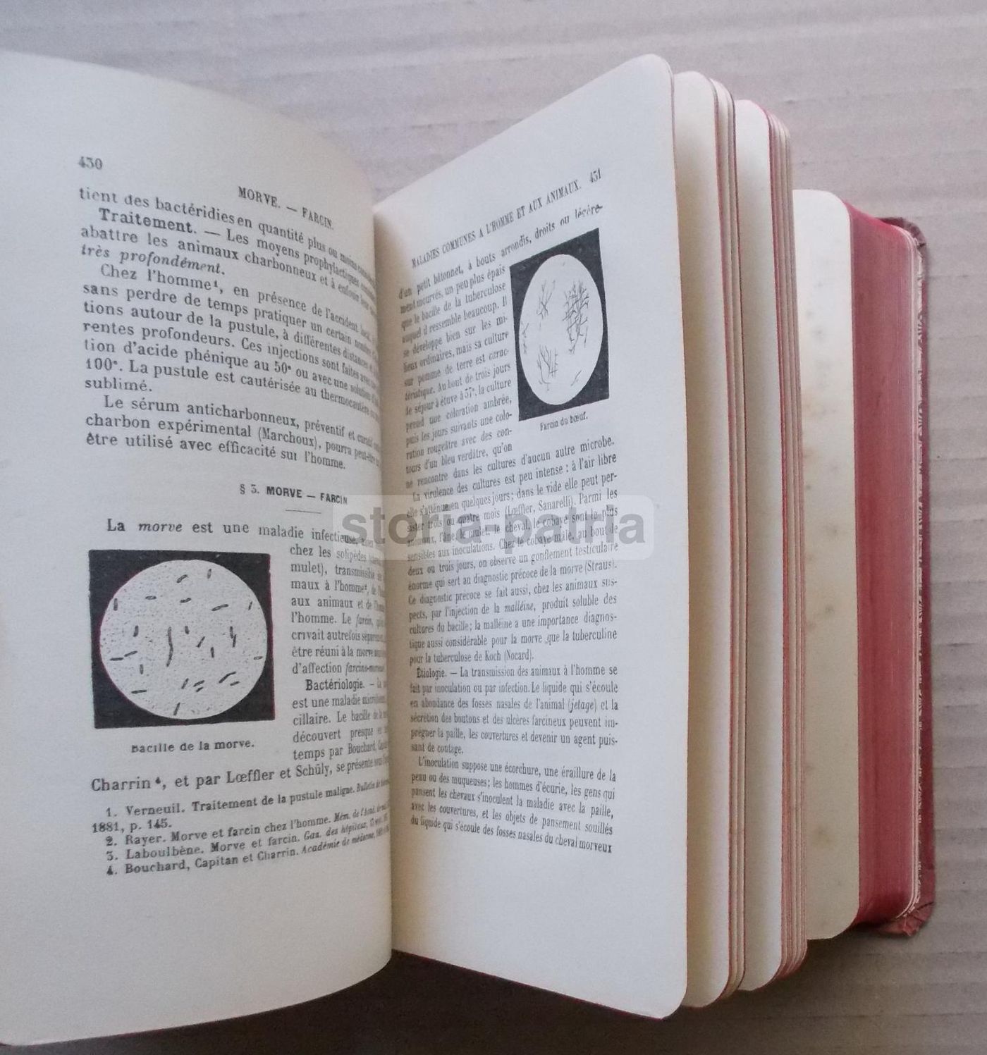 Dieulafoy, Manuel De Pathologie Interne, 1911 Masson Parigi