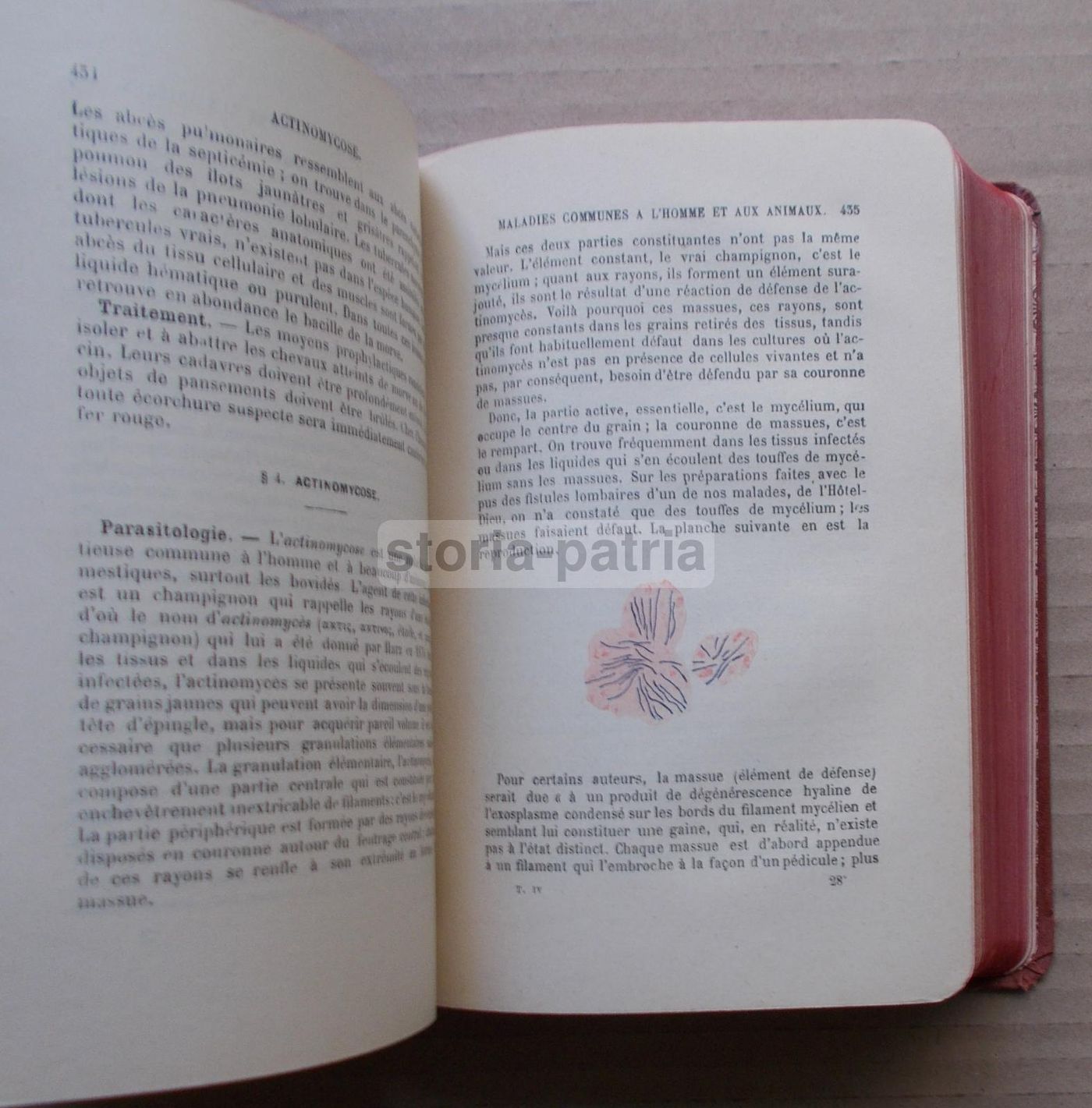 Dieulafoy, Manuel De Pathologie Interne, 1911 Masson Parigi