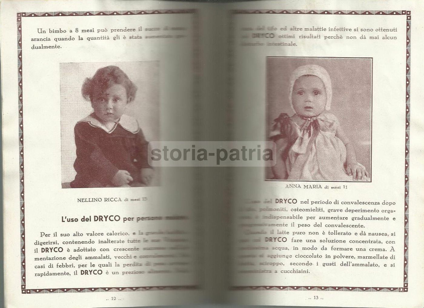 Opuscolo Pubblicitario Latte Dryco Dalmazzo, Napoli, Anni '30