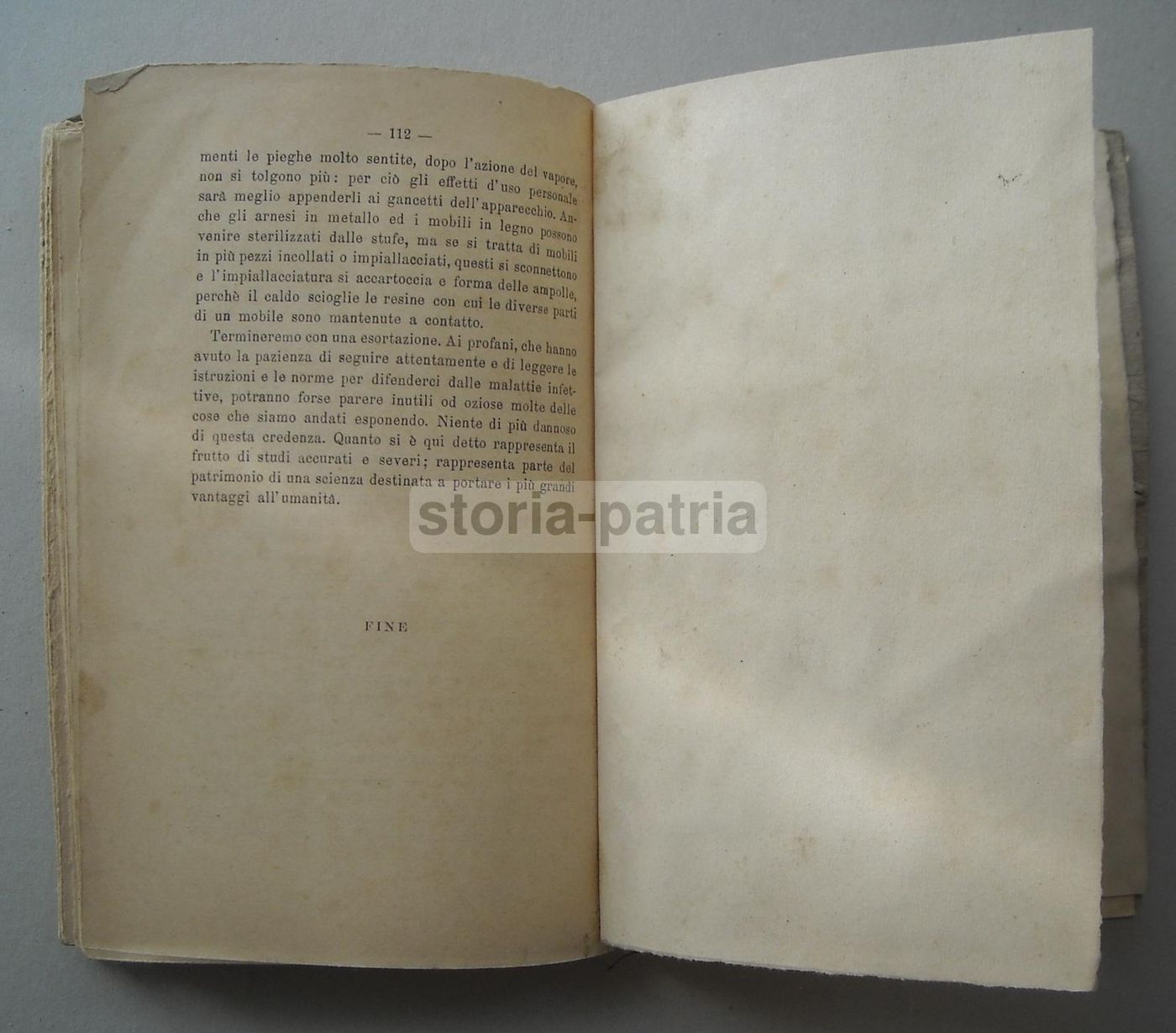 Contro Le Malattie Infettive: Oldoini 1895, Disinfezione E Profilassi