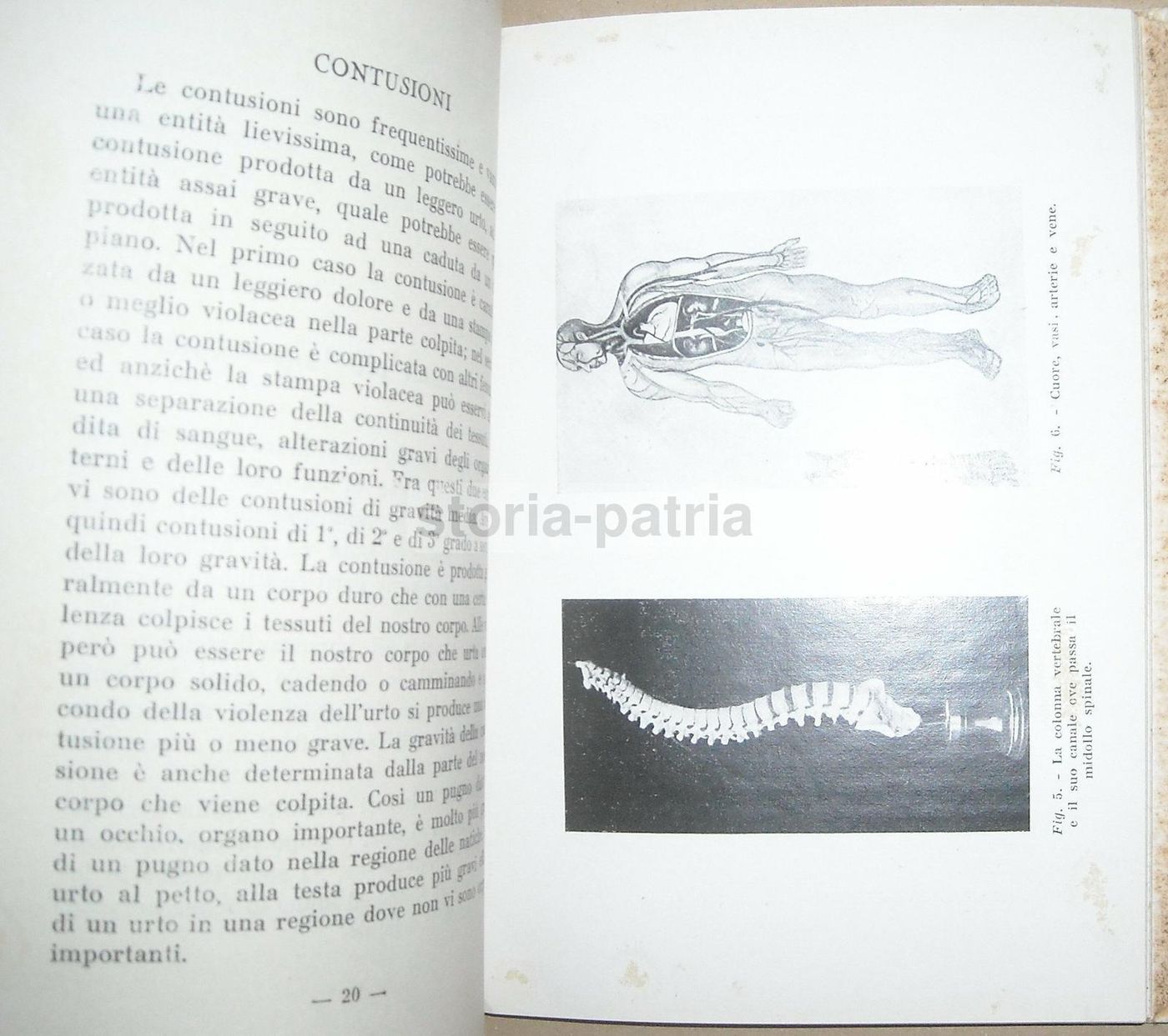 Il Soccorso d'Urgenza: Manuale Medico Dell'Opera Nazionale Balilla (1929) Con Grafica Futurista Di Gobbo