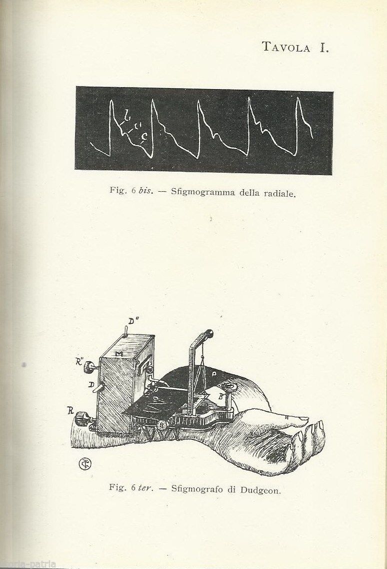 Semeiotica Fisica E Funzionale. Gabbi, 1912. Hoepli, Medicina Antica.