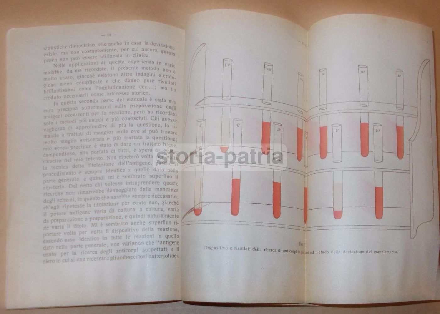 Manuale Di Tecnica Della Deviazione Del Complemento (Bournens, 1913)